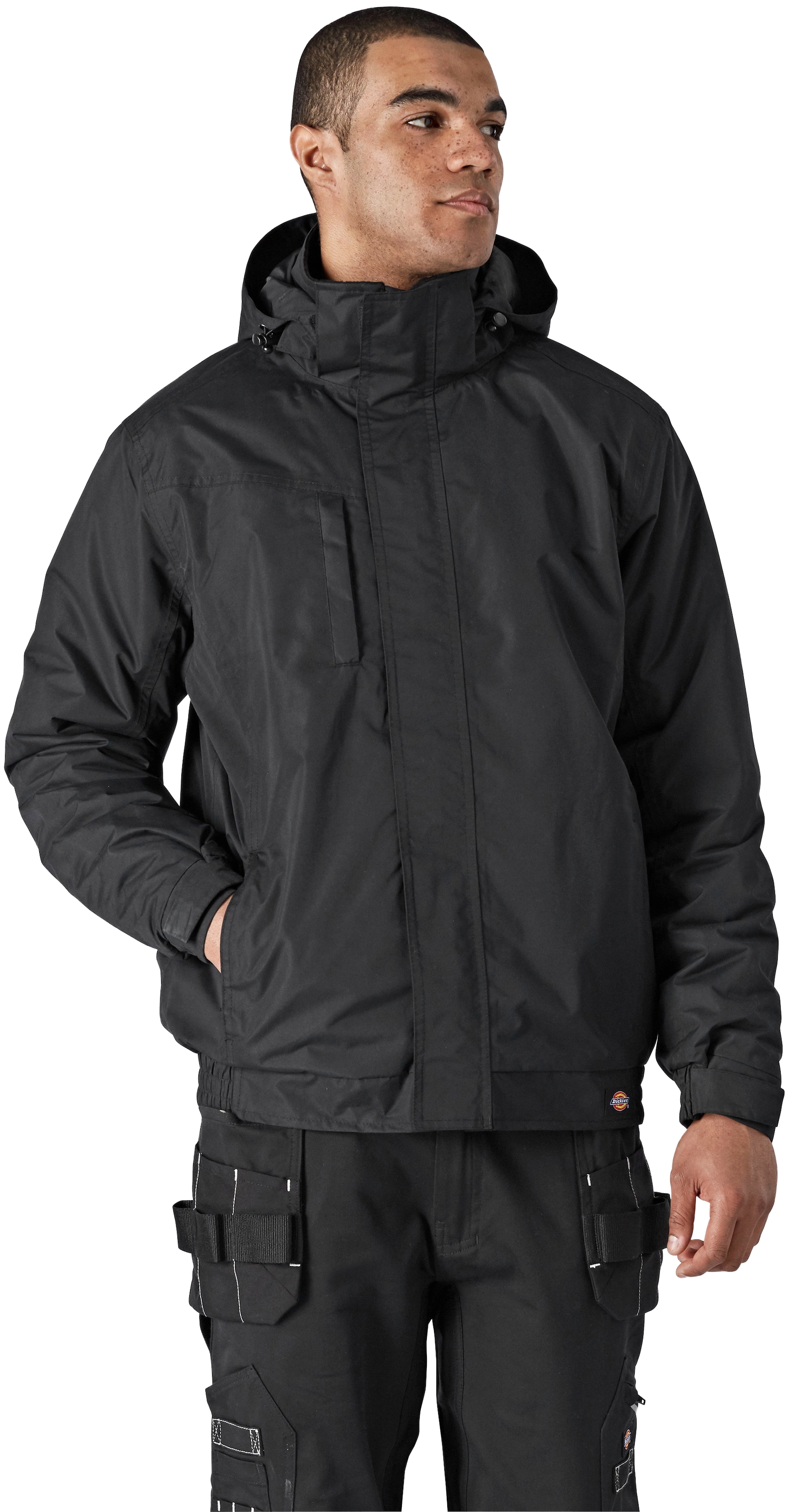 Dickies Arbeitsjacke »Everyday« ▷ kaufen BAUR 