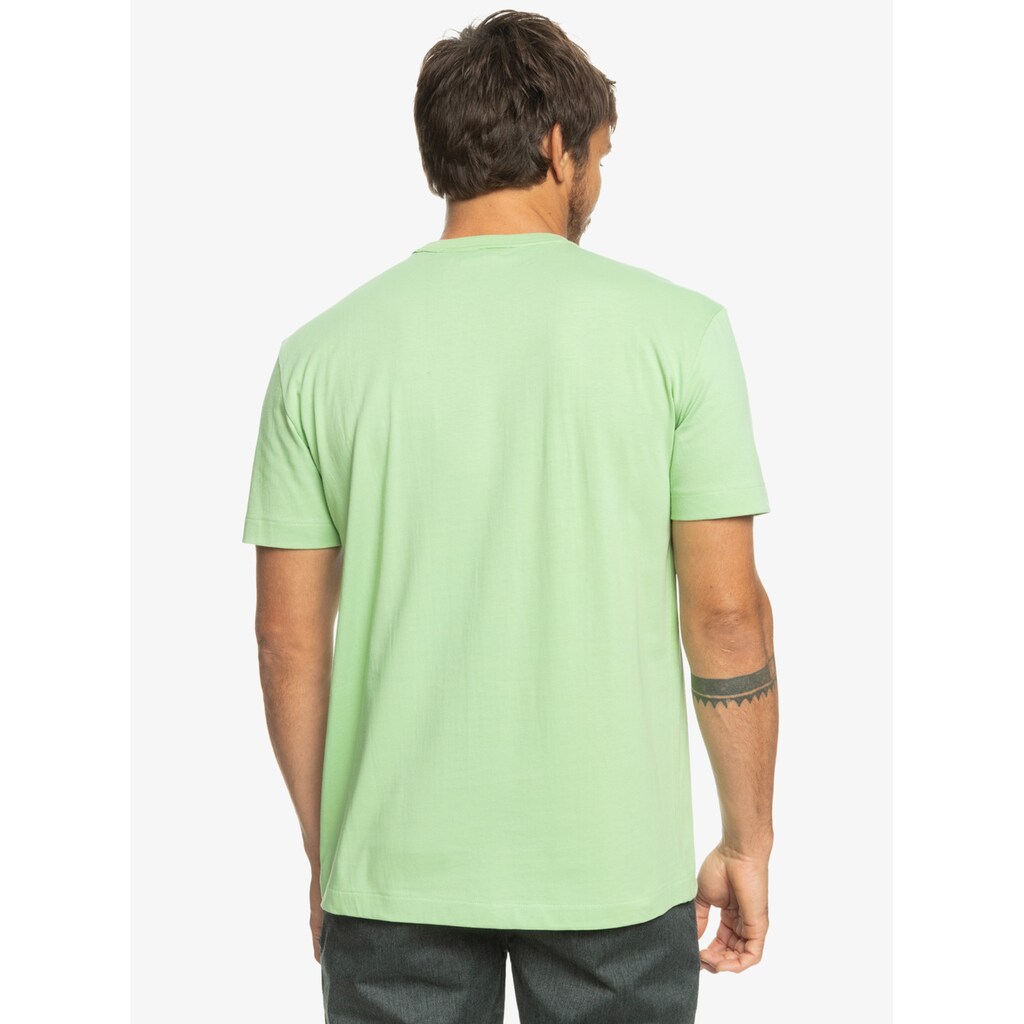 Quiksilver T-Shirt »Essentials«