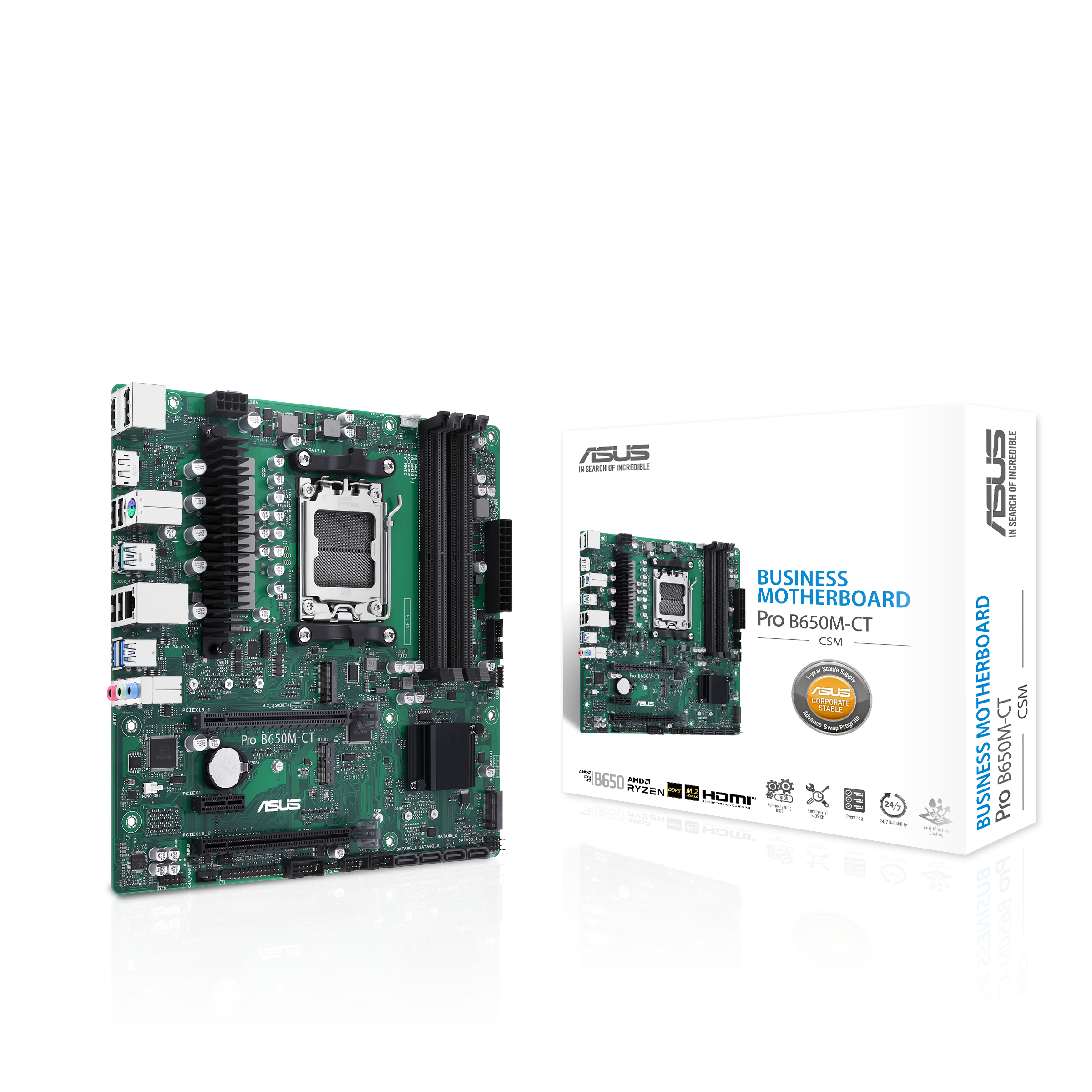 Mainboard »PRO B650M-CT-CSM«