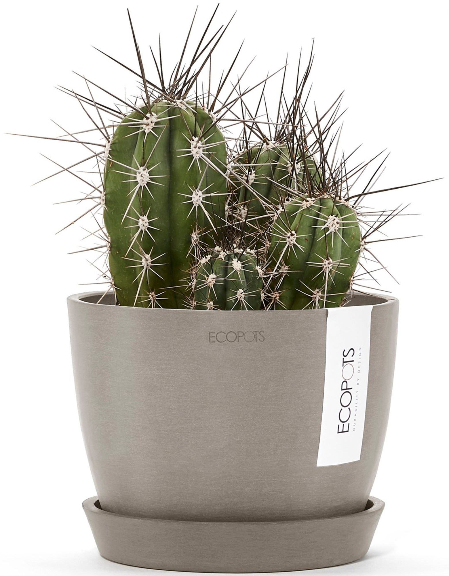 ECOPOTS Blumentopf »Stockholm Mini 16 Taupe«, für innen und außen: frostsicher, bruchsicher und lichtbeständig