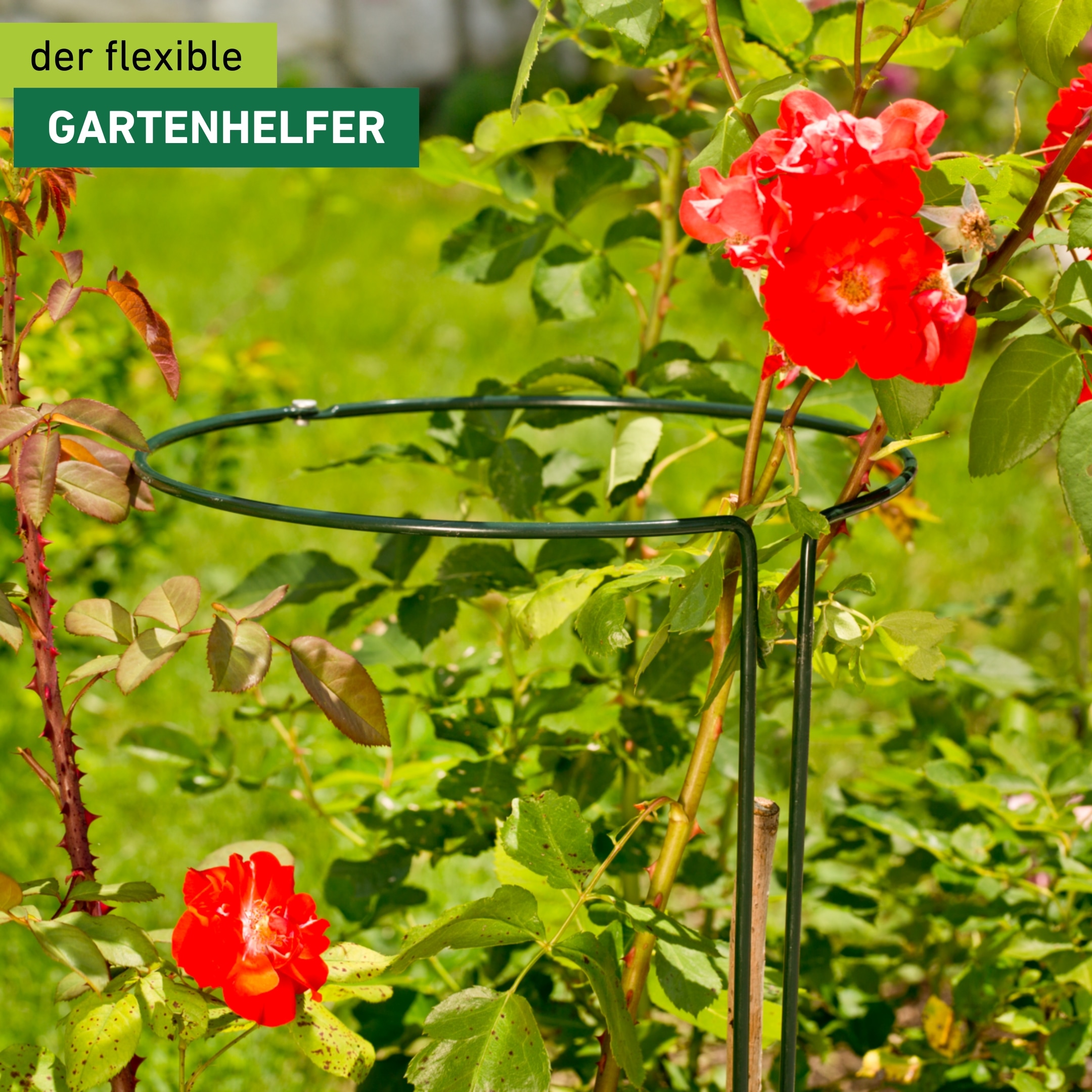 Windhager Rankhilfe »Staudenstützen 2-teilig für Pflanzen« langlebiger Staudenhalter erhältlich in unterschiedlichen Größen, grün
