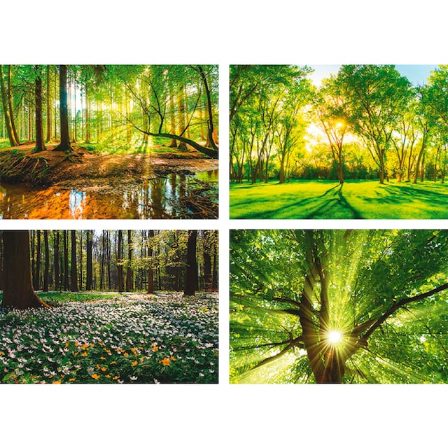 Sonne Natur Landschaft Bäume Wiese Postereck 3873 Poster Leinwand Wald
