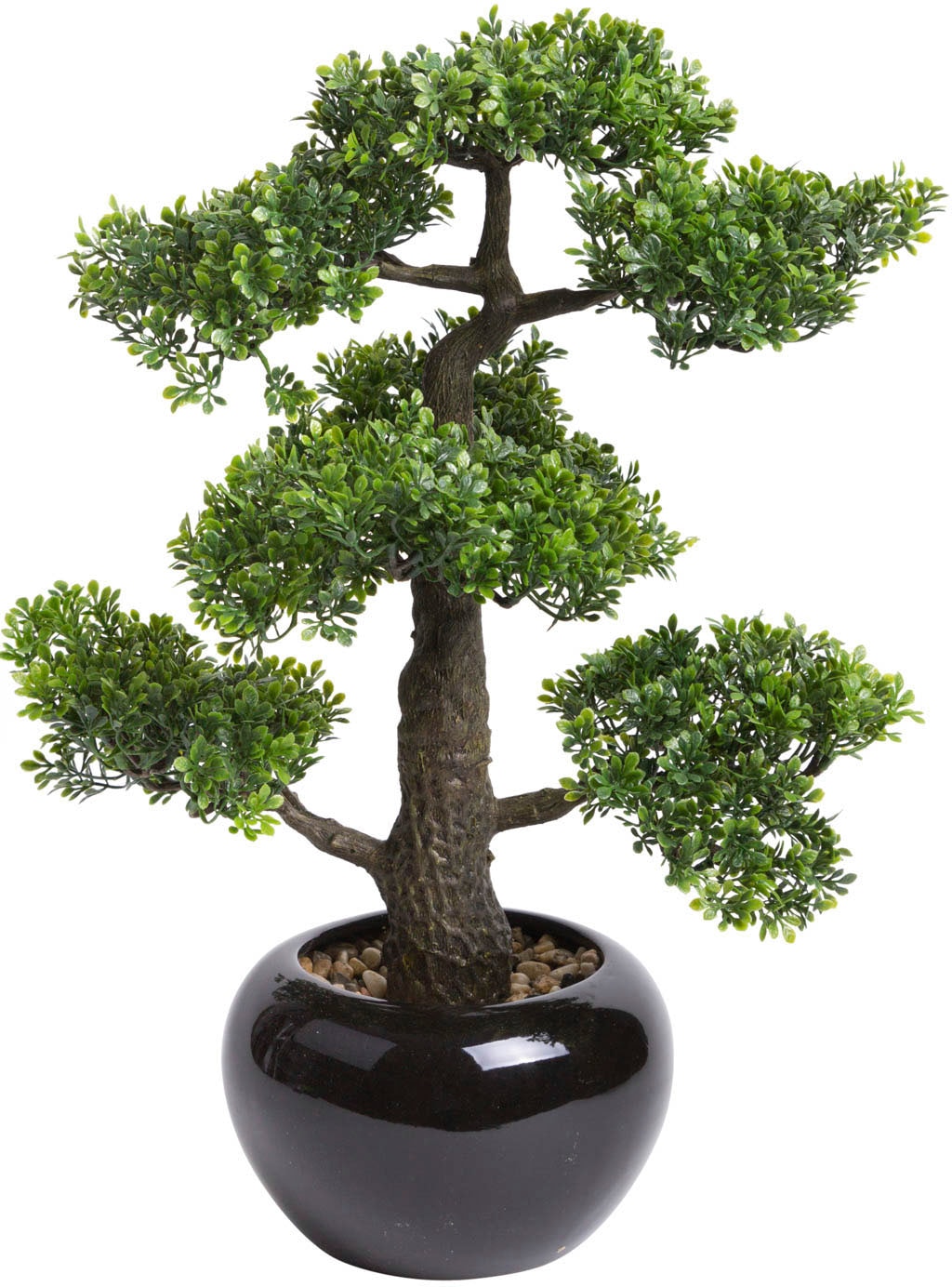 Botanic-Haus Kunstbonsai "Ficus Bonsai" günstig online kaufen