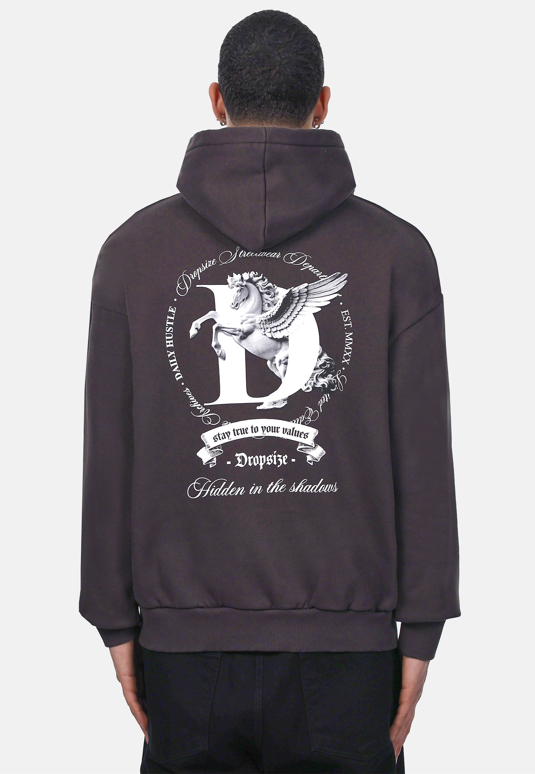 Dropsize Kapuzenpullover »Dropsize HEAVY OVERSIZE PEGASUS HOODIE« 1 Stk.