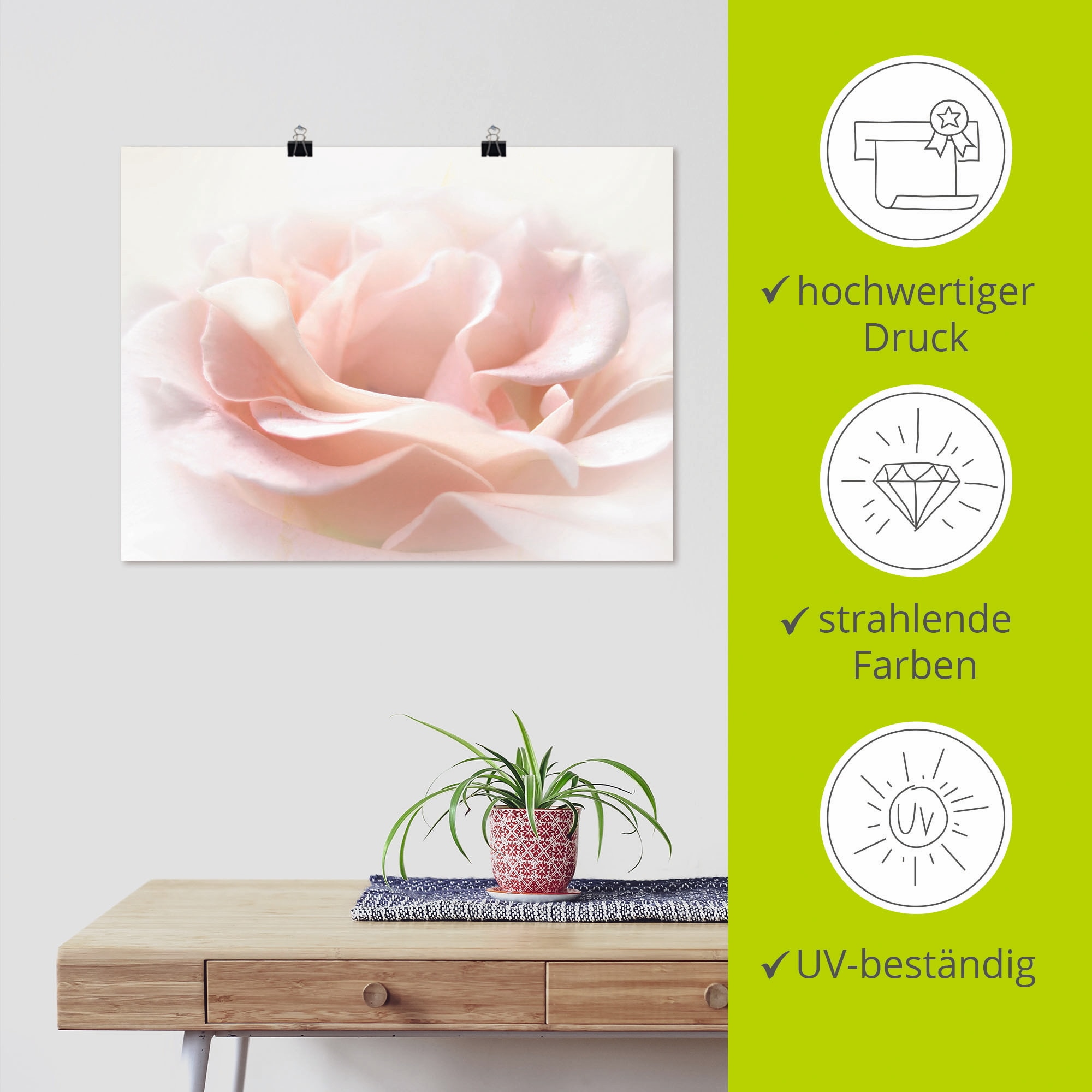 Artland Wandbild »Rose I« Blumen 1 Stk. tlg. als Alubild, Poster in verschied. Größen