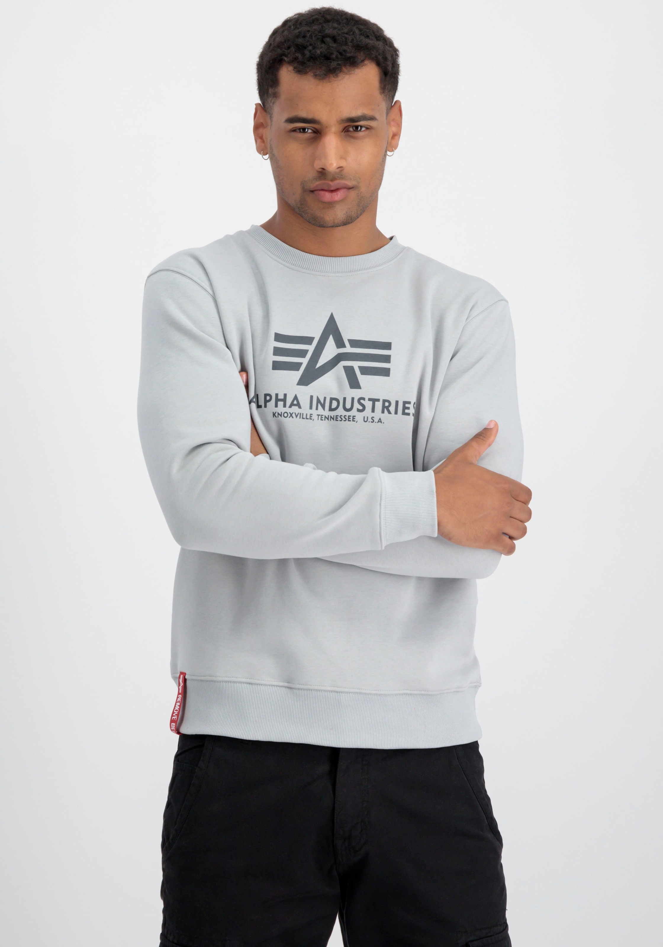 Alpha Industries Sweatshirt "Basic Sweater", Baumwollmischung, regular fit günstig online kaufen