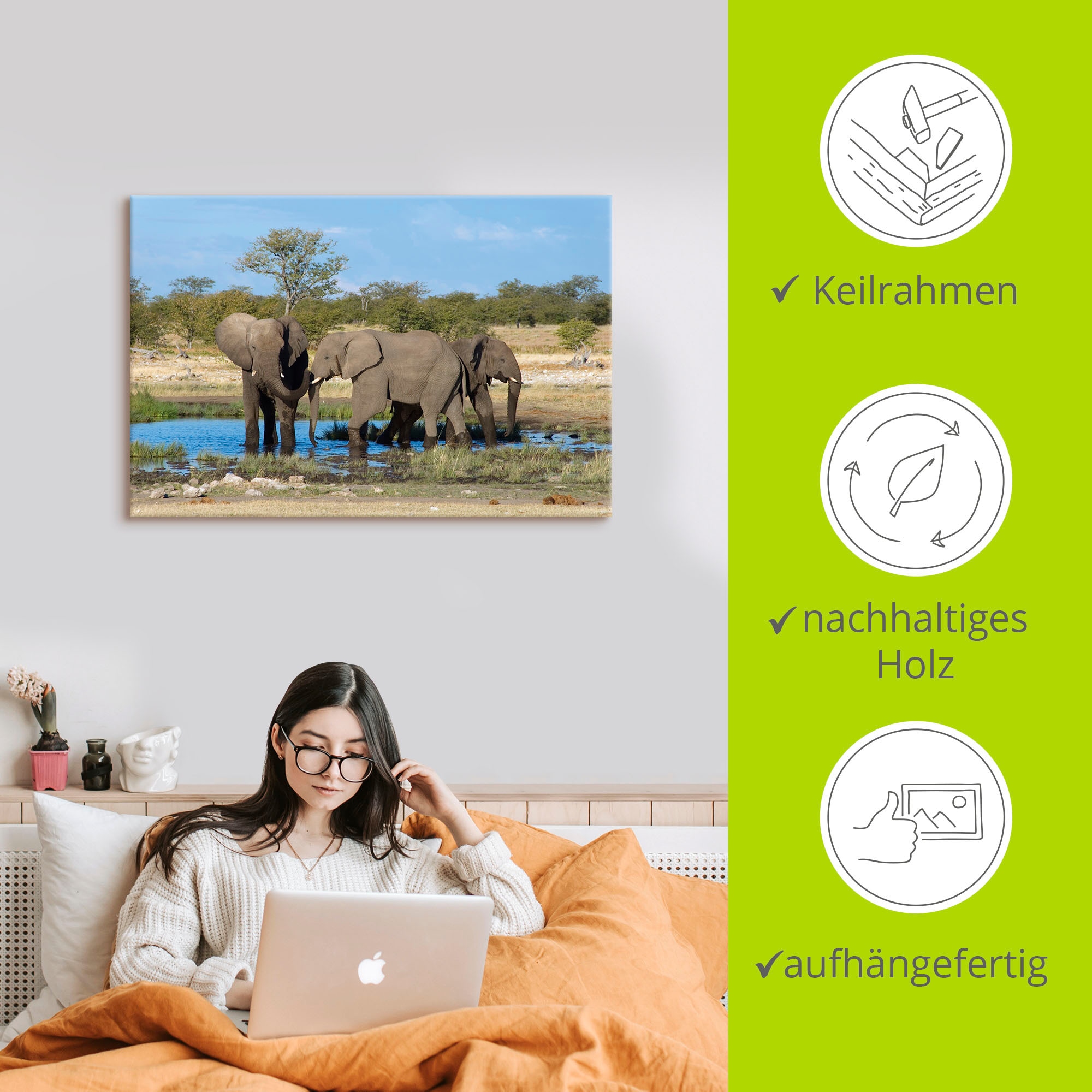 Artland Wandbild »Afrikanischer Elefant EtoshaNationalpark«, Elefanten  Bilder, (1 St.), als Alubild, Leinwandbild, Wandaufkleber oder Poster in  versch. Größen kaufen | BAUR