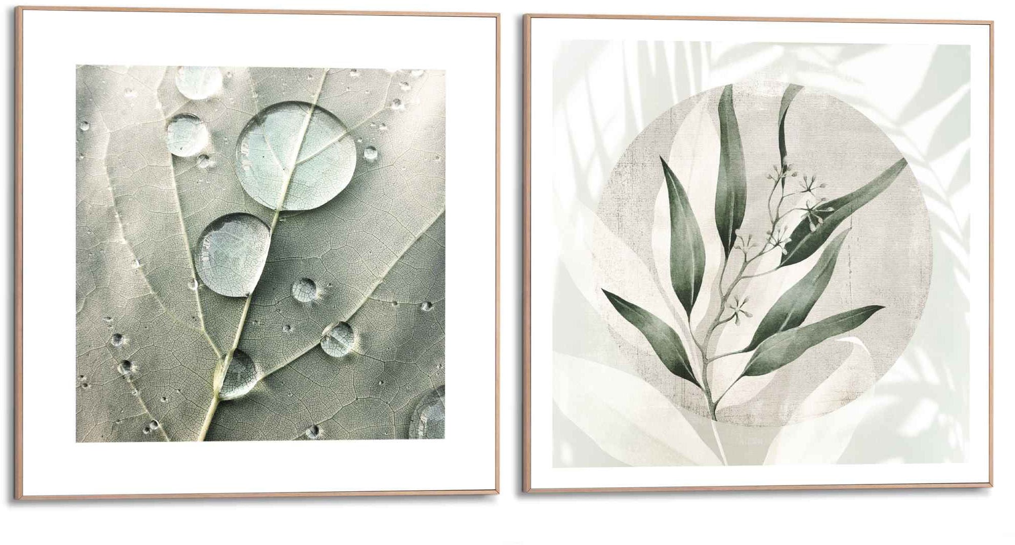 Reinders! Wandbild »Tautropf Botanisch bestellen Blätter (2 Natur«, St.) - BAUR Abstrakt - - 
