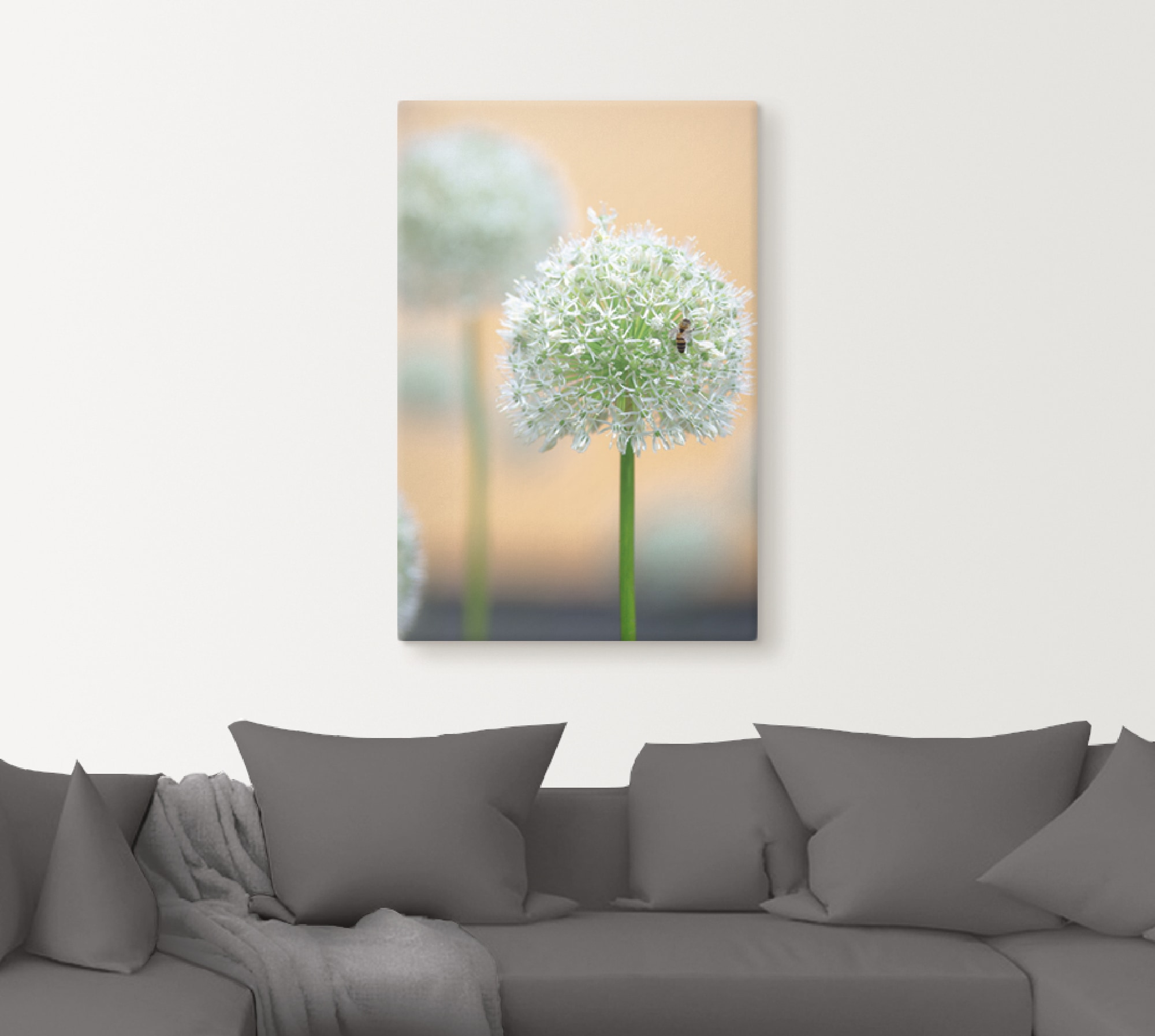 Artland Wandbild »Großer Allium in Pastell«, Blumen, (1 St.), als Leinwandbild, Wandaufkleber in verschied. Größen