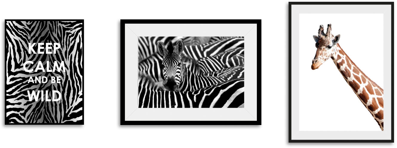 queence Bild "Animals", Abstrakt-Schriftzug-Sprüche & Texte-Motivationsbild günstig online kaufen