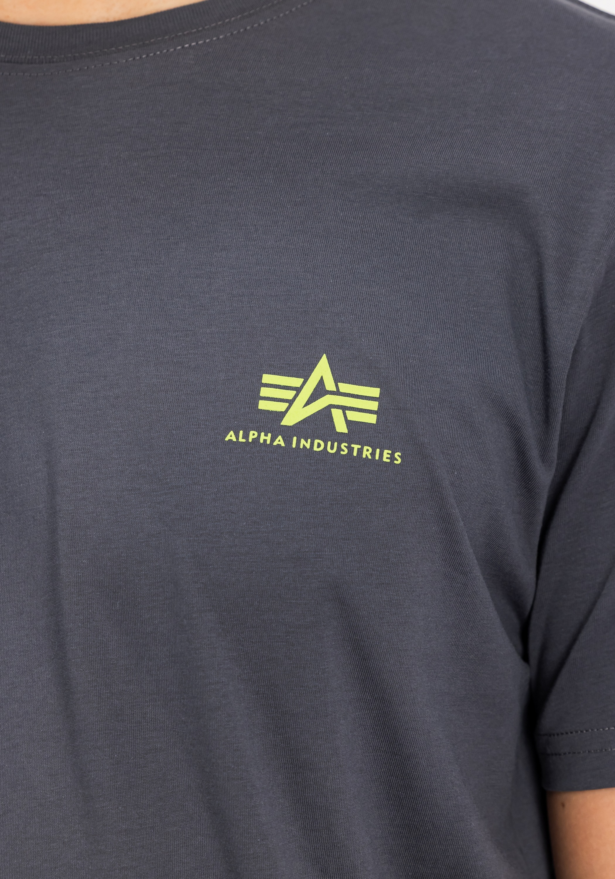 Alpha Industries T-Shirt »Backprint T-Shirt«