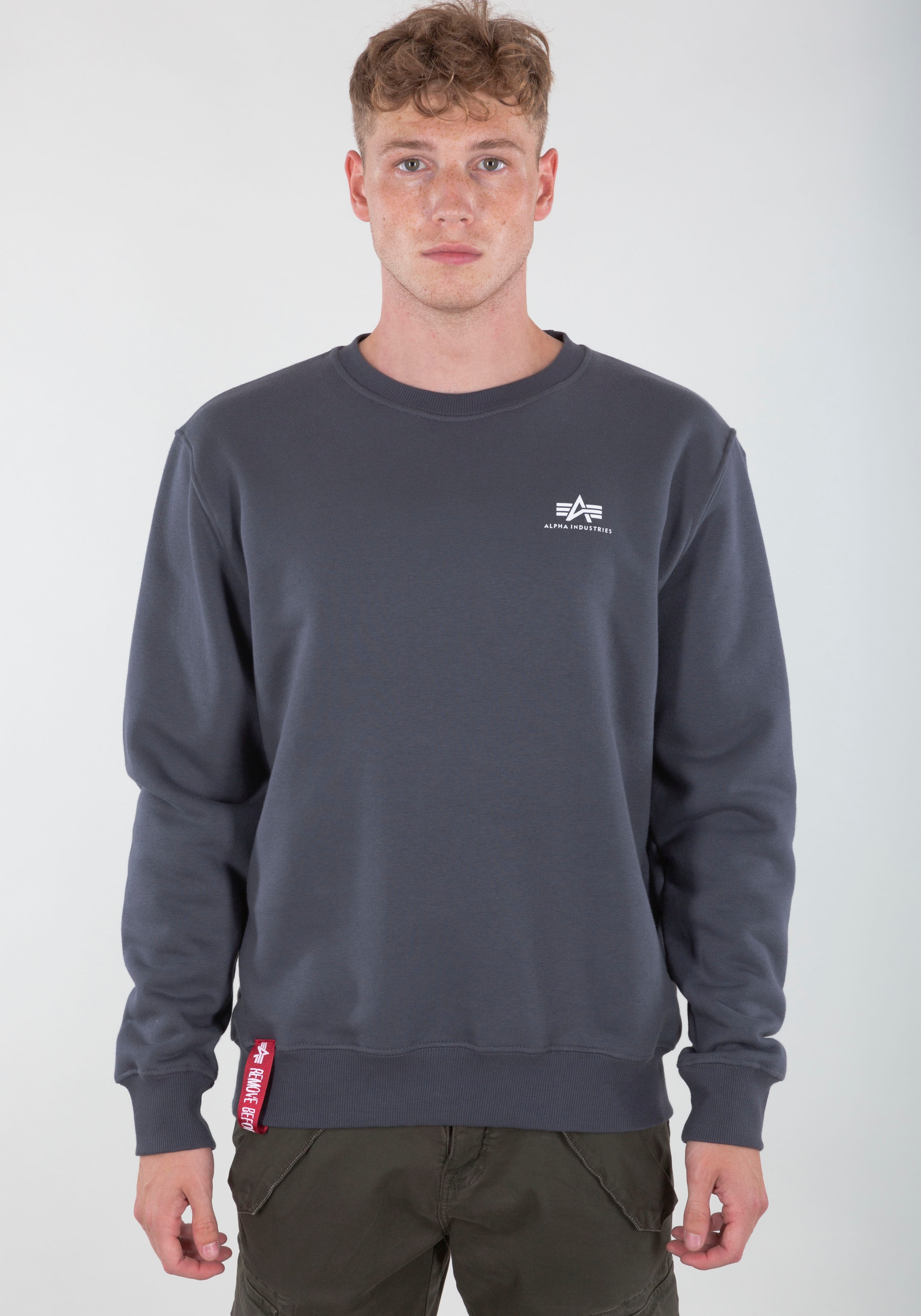 Alpha Industries "Basic Sweater small Logo", Baumwollmischung, regular fit günstig online kaufen