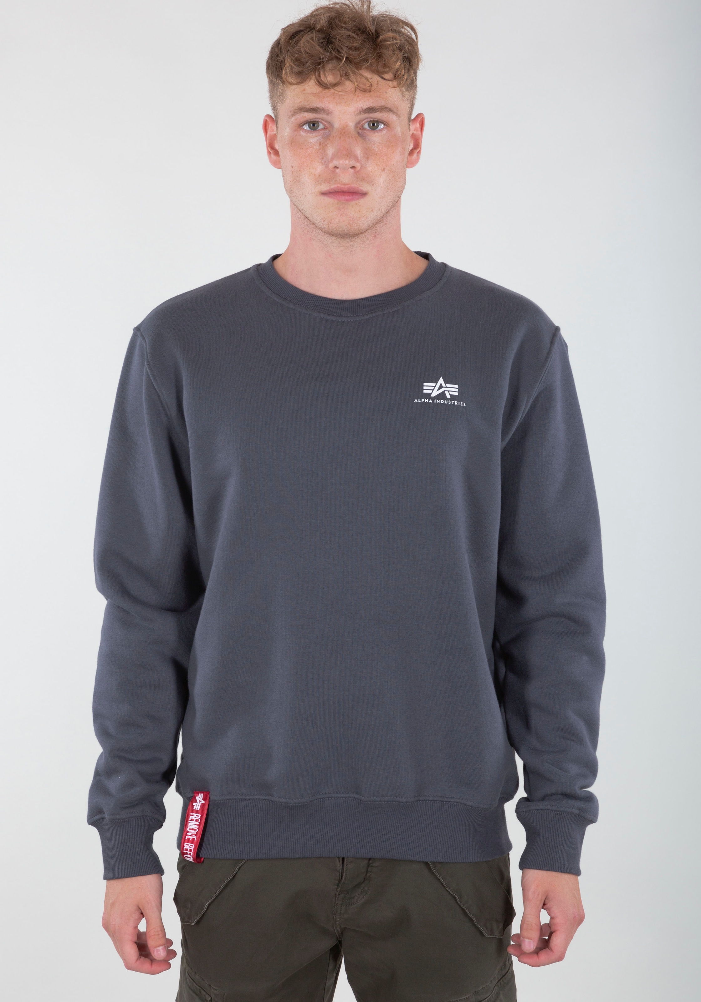 Alpha Industries Sweatshirt "Basic Sweater small Logo"