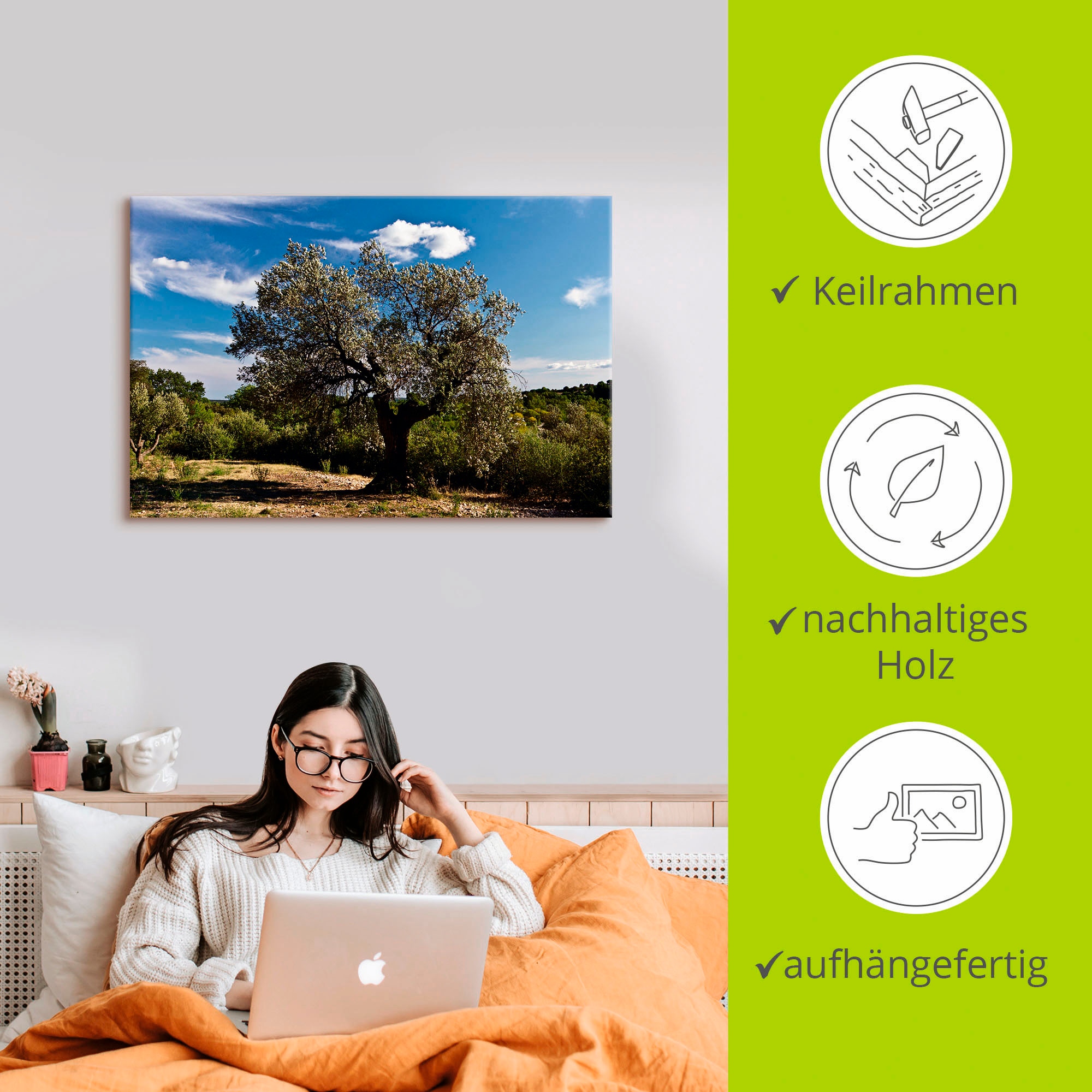 Artland Wandbild »Olivenbaum in Südfrankreich«, Bäume, (1 St.), als Alubild, Outdoorbild, Leinwandbild, Poster in verschied. Größen
