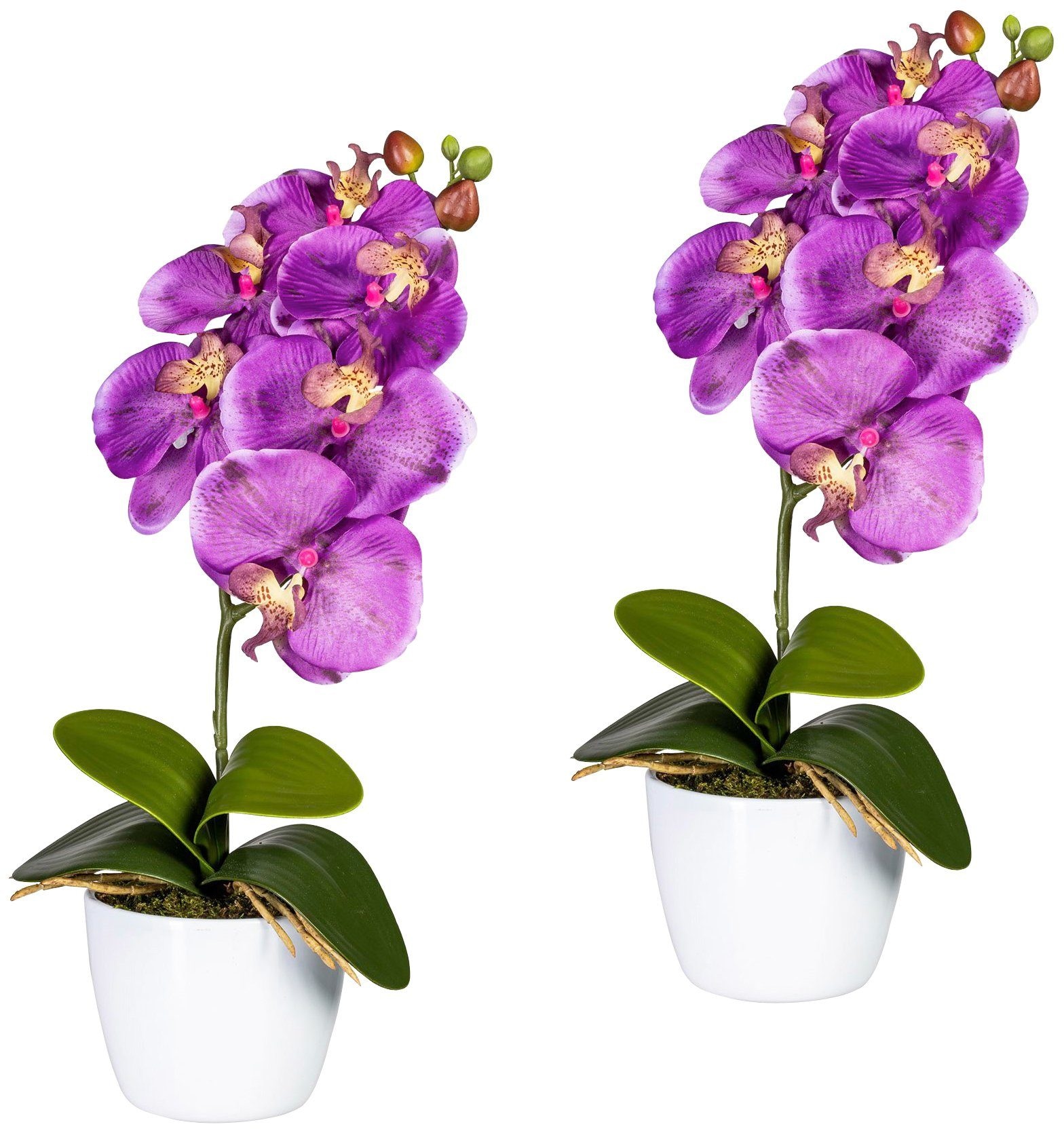 Creativ green Kunstpflanze "Orchidee Phalaenopsis", im Keramiktopf