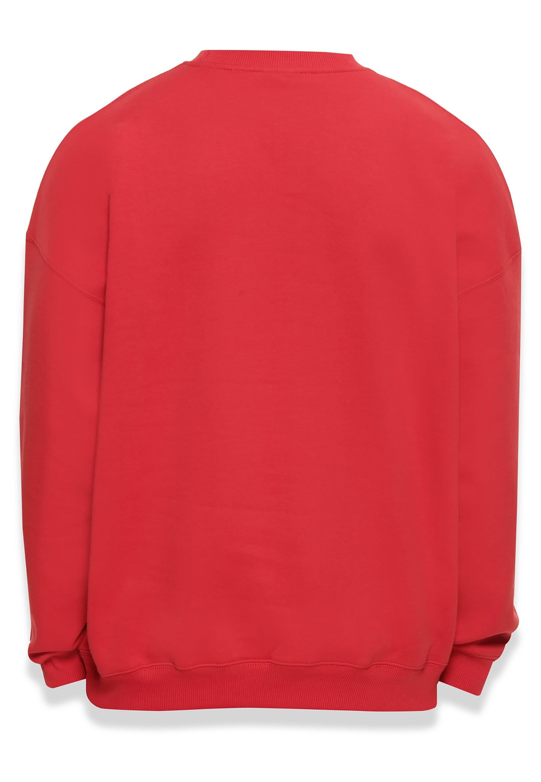 Dropsize Rundhalspullover "Dropsize Herren Bazix Republiq Super Heavy Blank günstig online kaufen