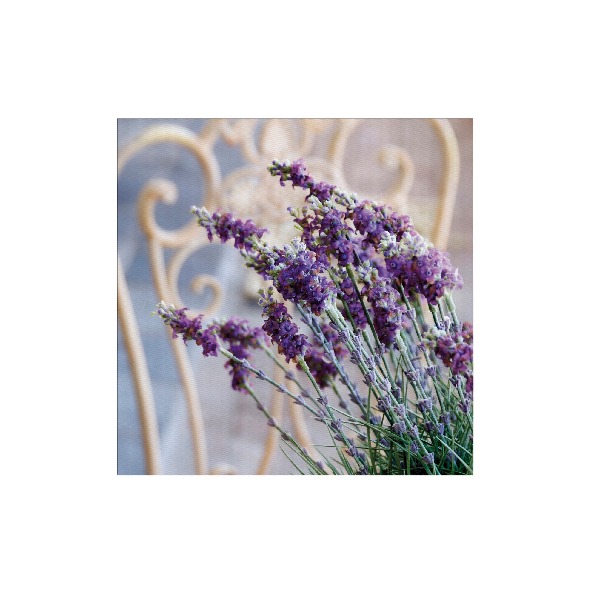 Art for the home Leinwandbild »Outdoor Lovely 50x50cm«, (1 St.)