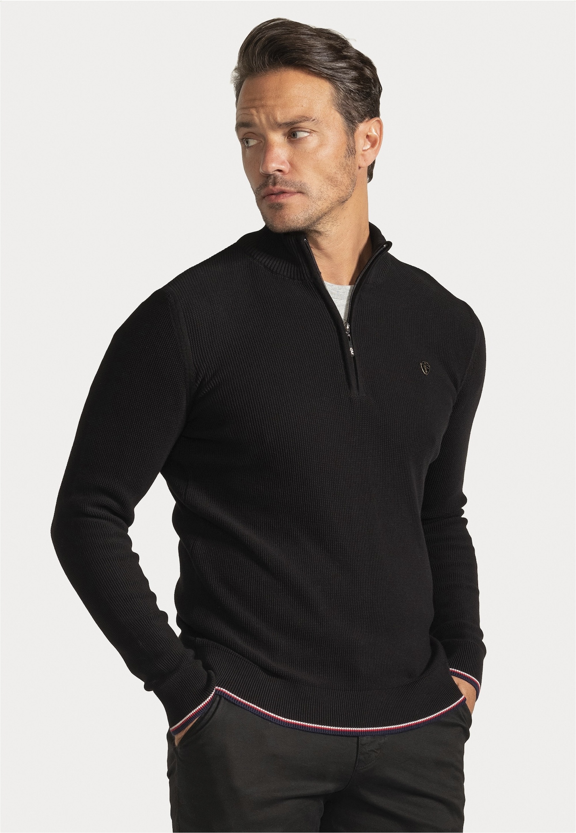 SIR RAYMOND TAILOR Strickpullover »Pulses«, (1 tlg.), mit Stehkragen