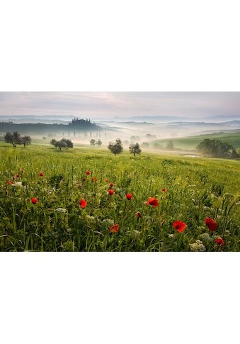 Fototapete »Photo-Art DANIEL Å˜EÅ˜ICHA, TOSKANISCHER FRÜHLING«