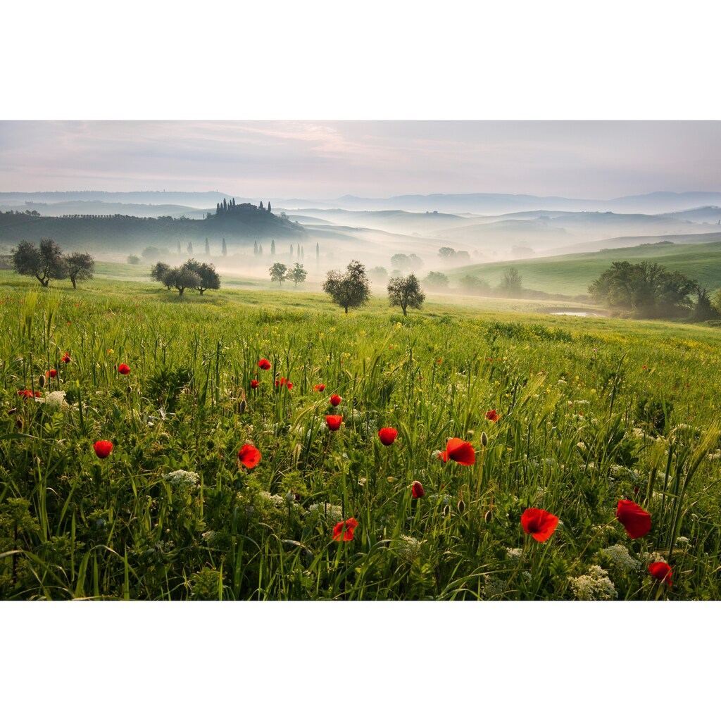 Papermoon Fototapete »Photo-Art DANIEL Å˜EÅ˜ICHA, TOSKANISCHER FRÜHLING«