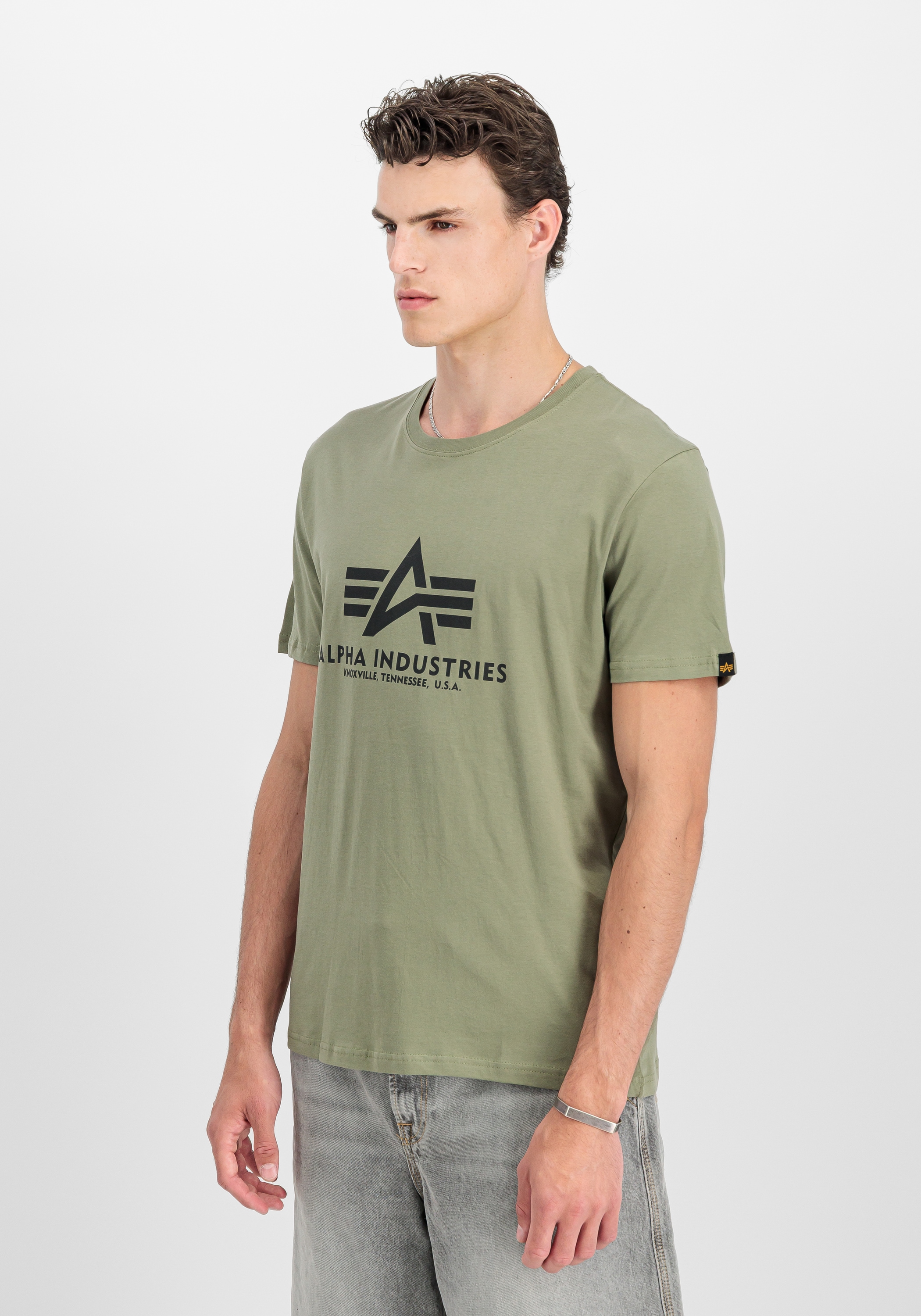 Alpha Industries T-Shirt »Basic T-Shirt BL«