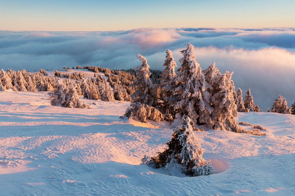 Papermoon Fototapete "Schneelandschaft"