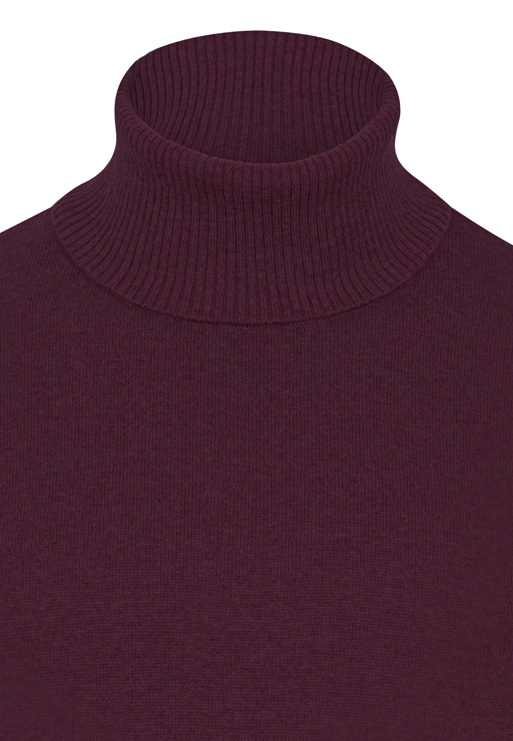 Felix Hardy Rollkragenpullover »Rollkragenpullover«