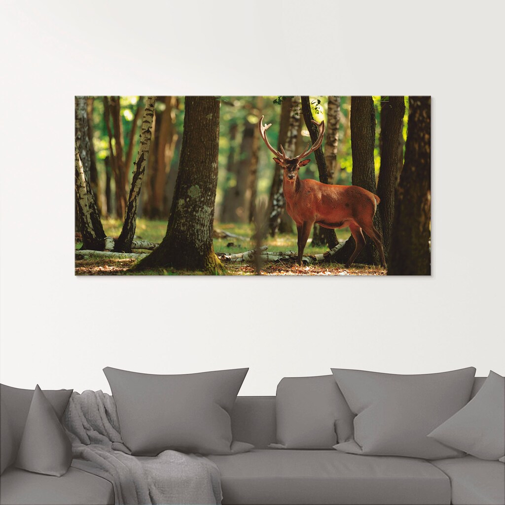 Artland Glasbild »Hirsch 4 - Wald«, Wildtiere, (1 St.)