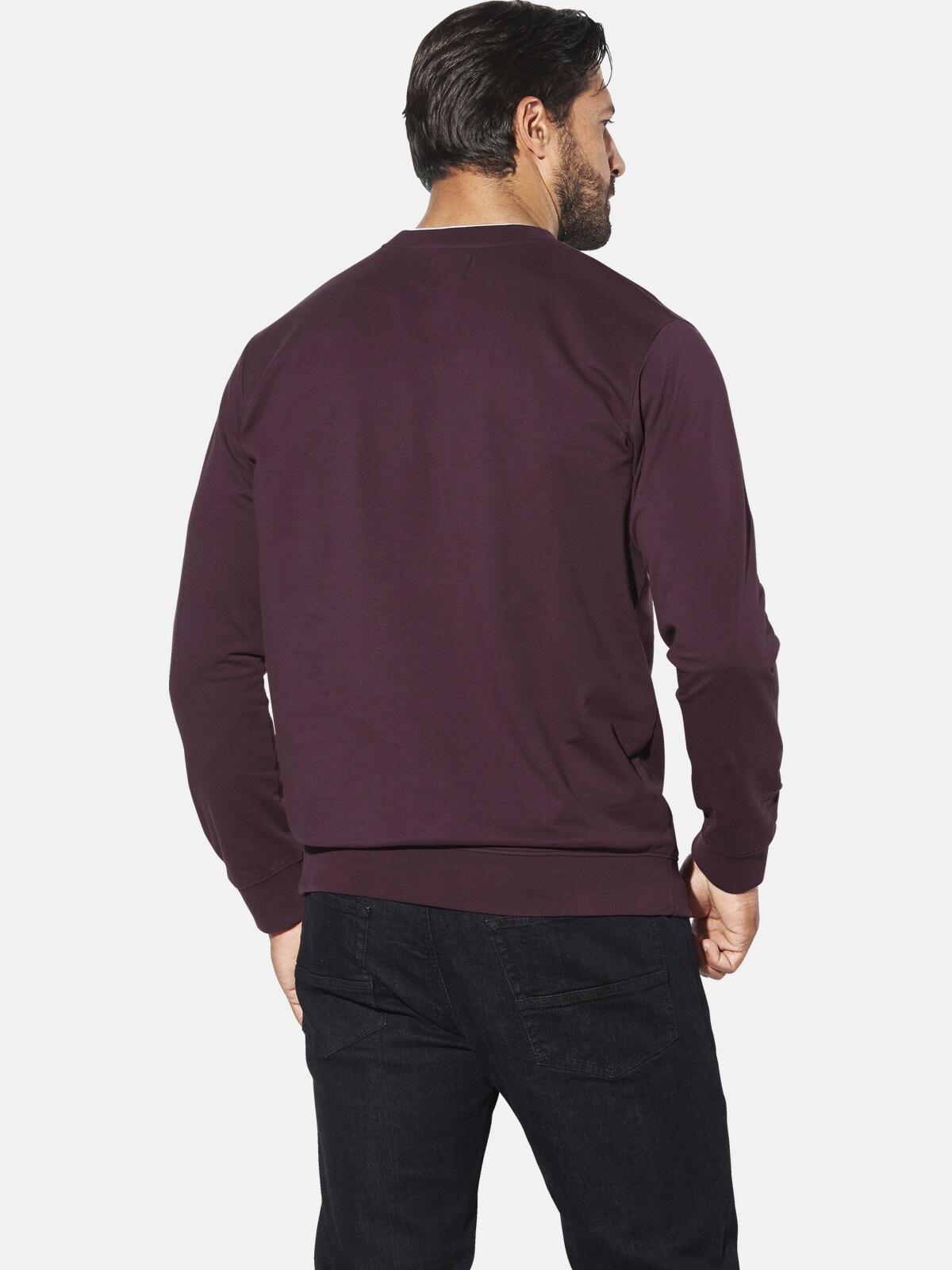 Jan Vanderstorm Sweatshirt »Sweatshirt LINDSKOV«