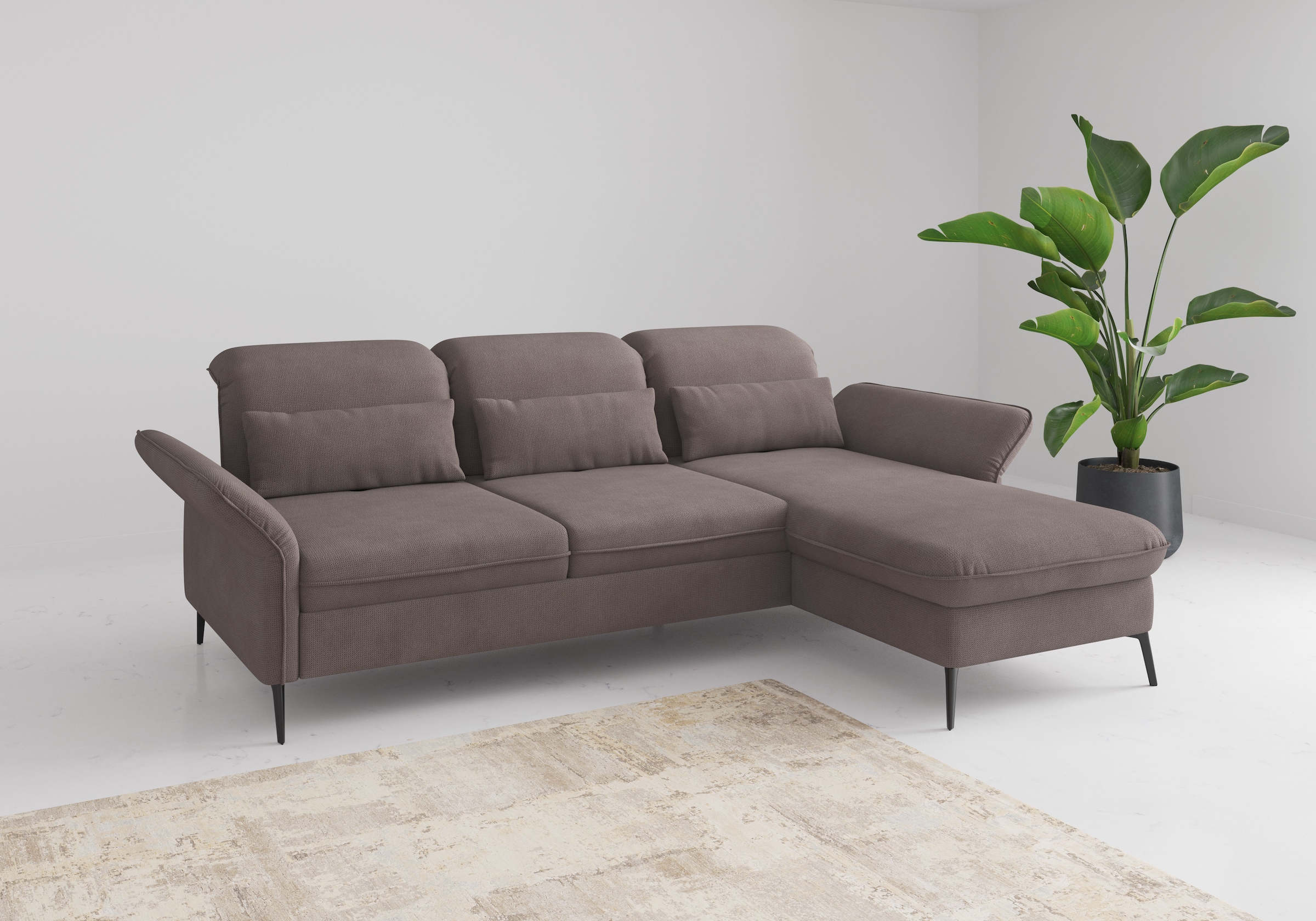 sit&more Ecksofa "Emely", mit Sitztiefenverstellung optional mit Bettfunkti günstig online kaufen