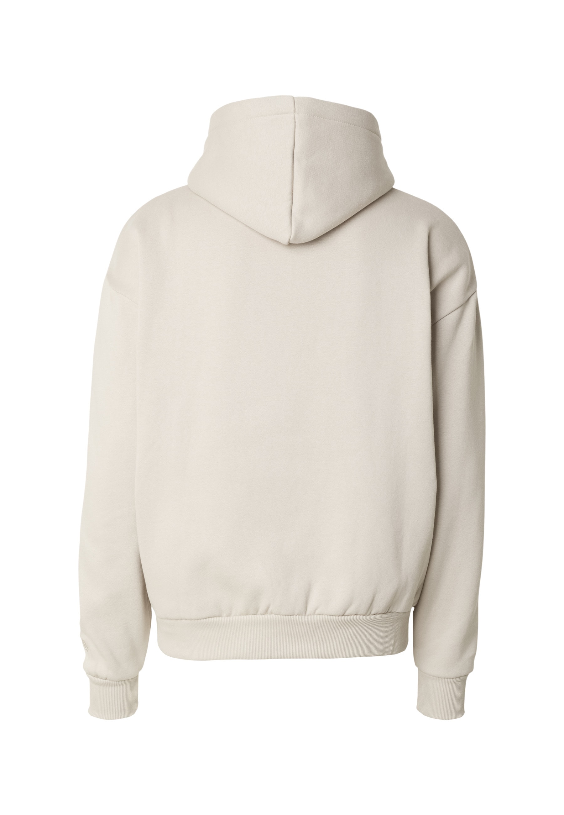 Dropsize Kapuzensweatshirt »Dropsize Herren Super Heavy Blank Hoodie«, 1 Stk.

