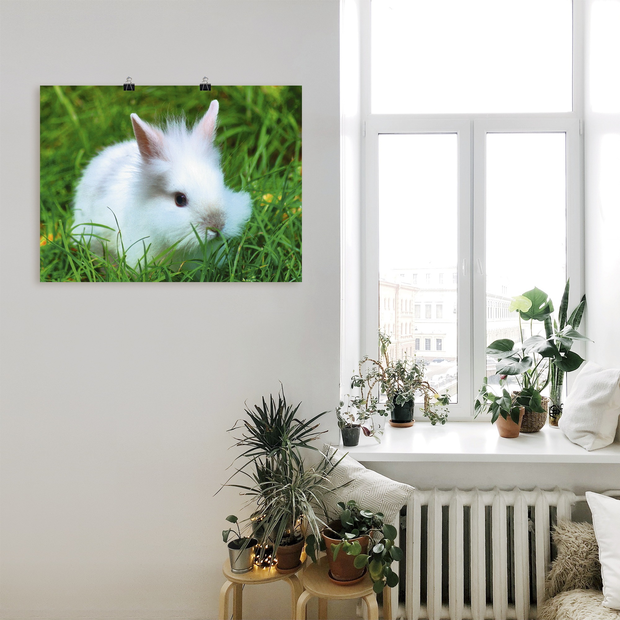 Artland Wandbild "Weißes Zwergkaninchen Baby", Wildtiere, (1 St.), als Post günstig online kaufen