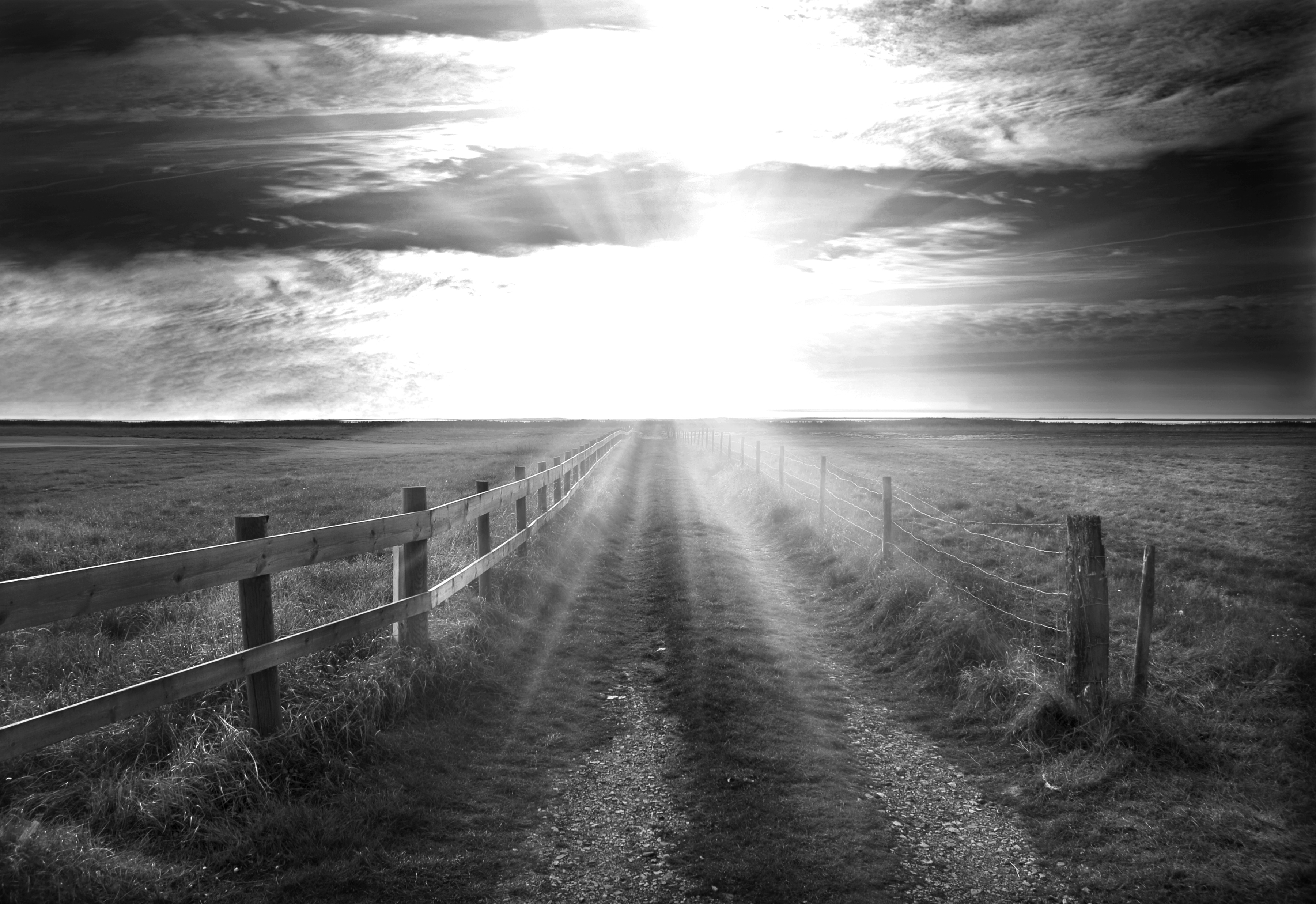 Papermoon Fototapete "Feldweg Schwarz & Weiß"