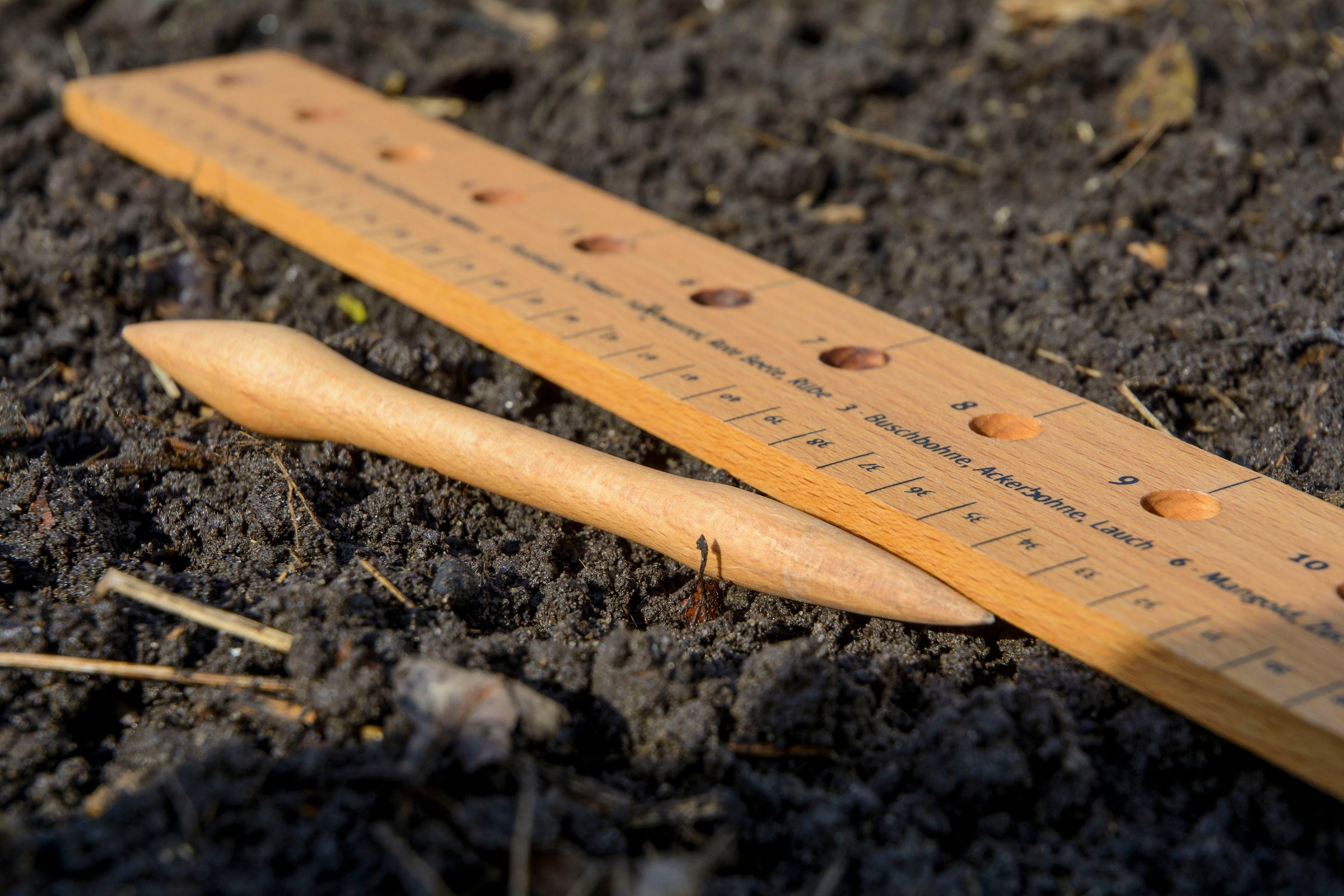 dobar Gemüsesamen, Pflanzen-Starter-Set aus Buchenholz mit 3 verschiedenen BIO-Saaten