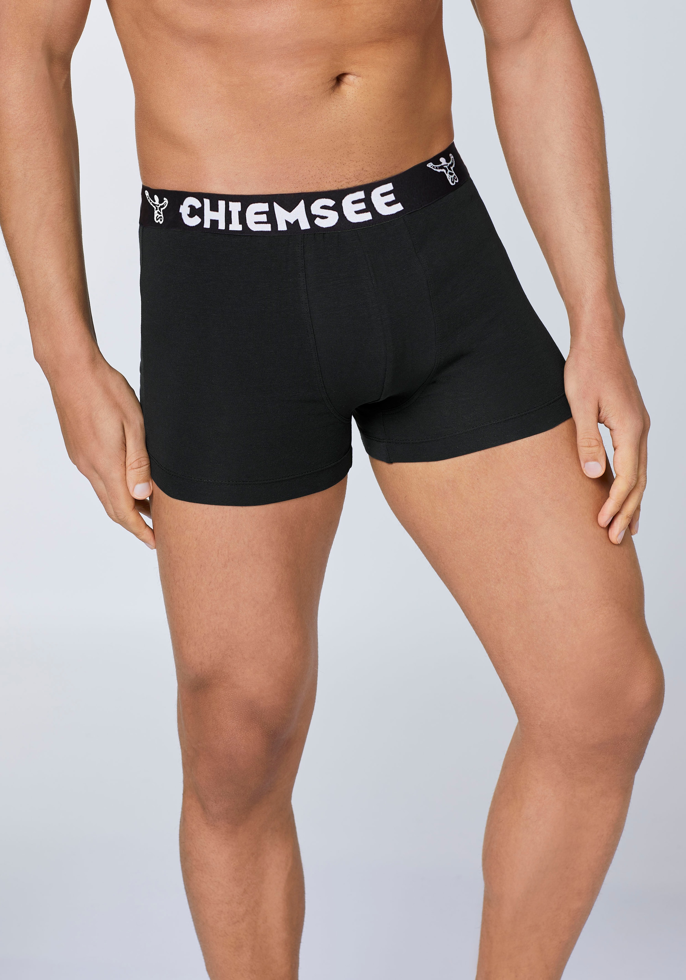 Chiemsee Boxershorts "Boxershort Boxer Briefs, Regular Fit 3P 3er Pack" günstig online kaufen