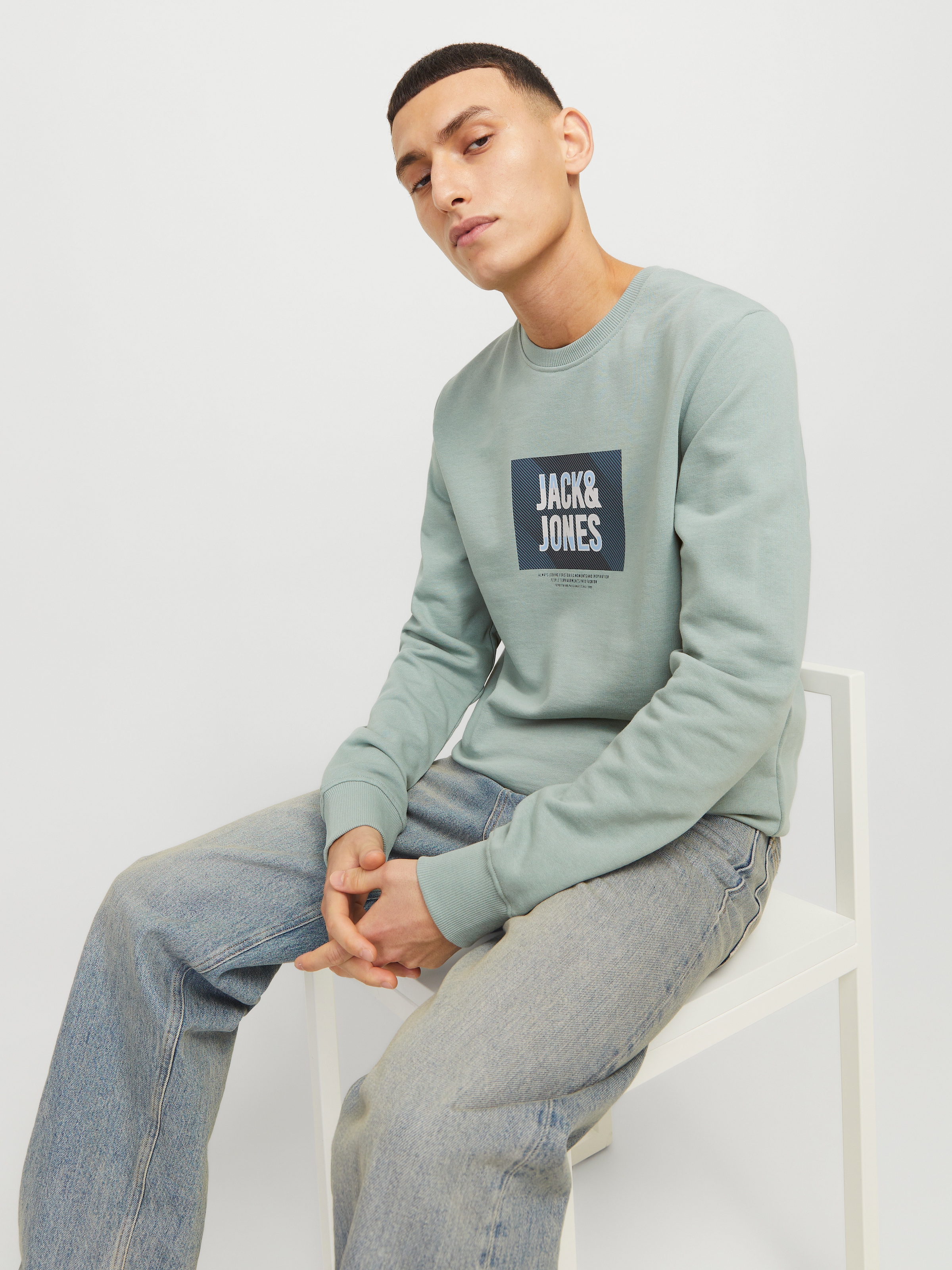 Jack & Jones Sweatshirt »JJHUDSON SWEAT CREW NECK«