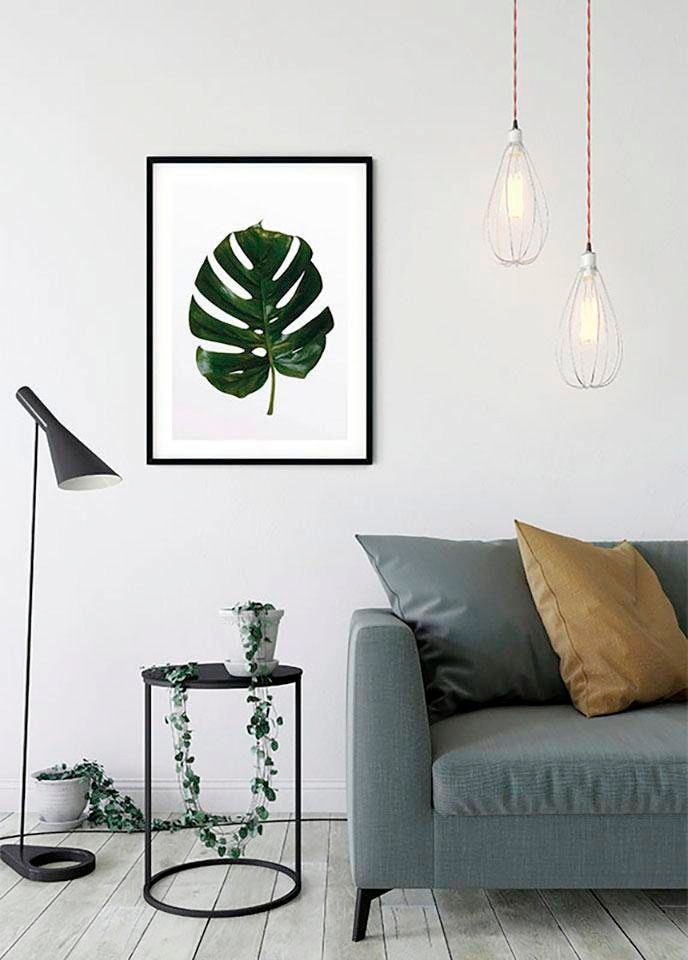 Komar Bild »Monstera Leaf«, Pflanzen-Blätter, (1 St.), Wandbild zur Dekoration - ohne Rahmen