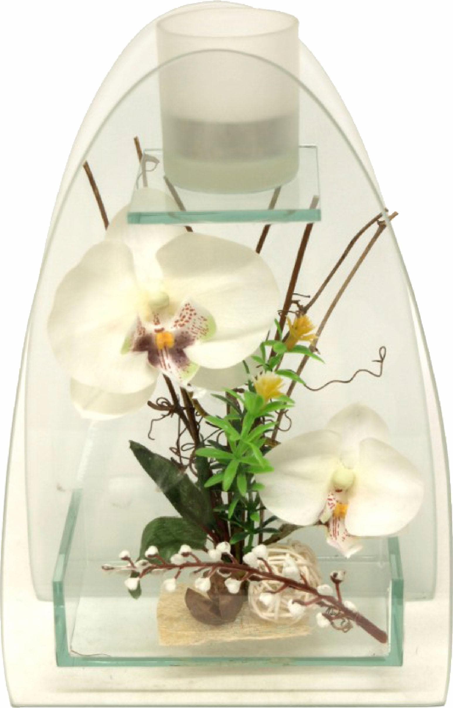 I.GE.A. Kunstpflanze »Orchidee mit Teelichthalter 23/15 cm«