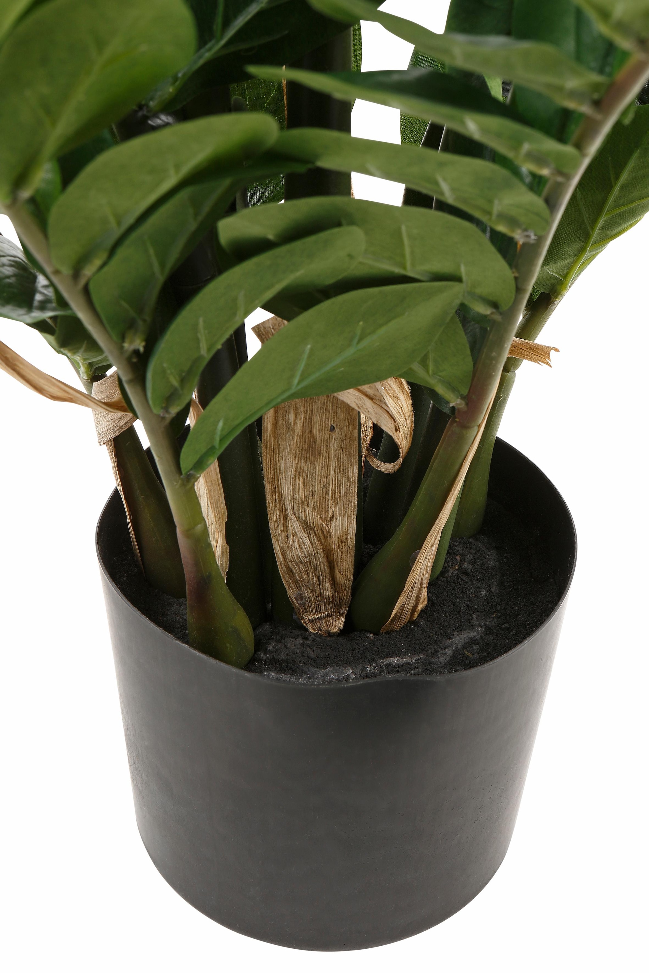 Creativ green Kunstpflanze »Zamifolia«