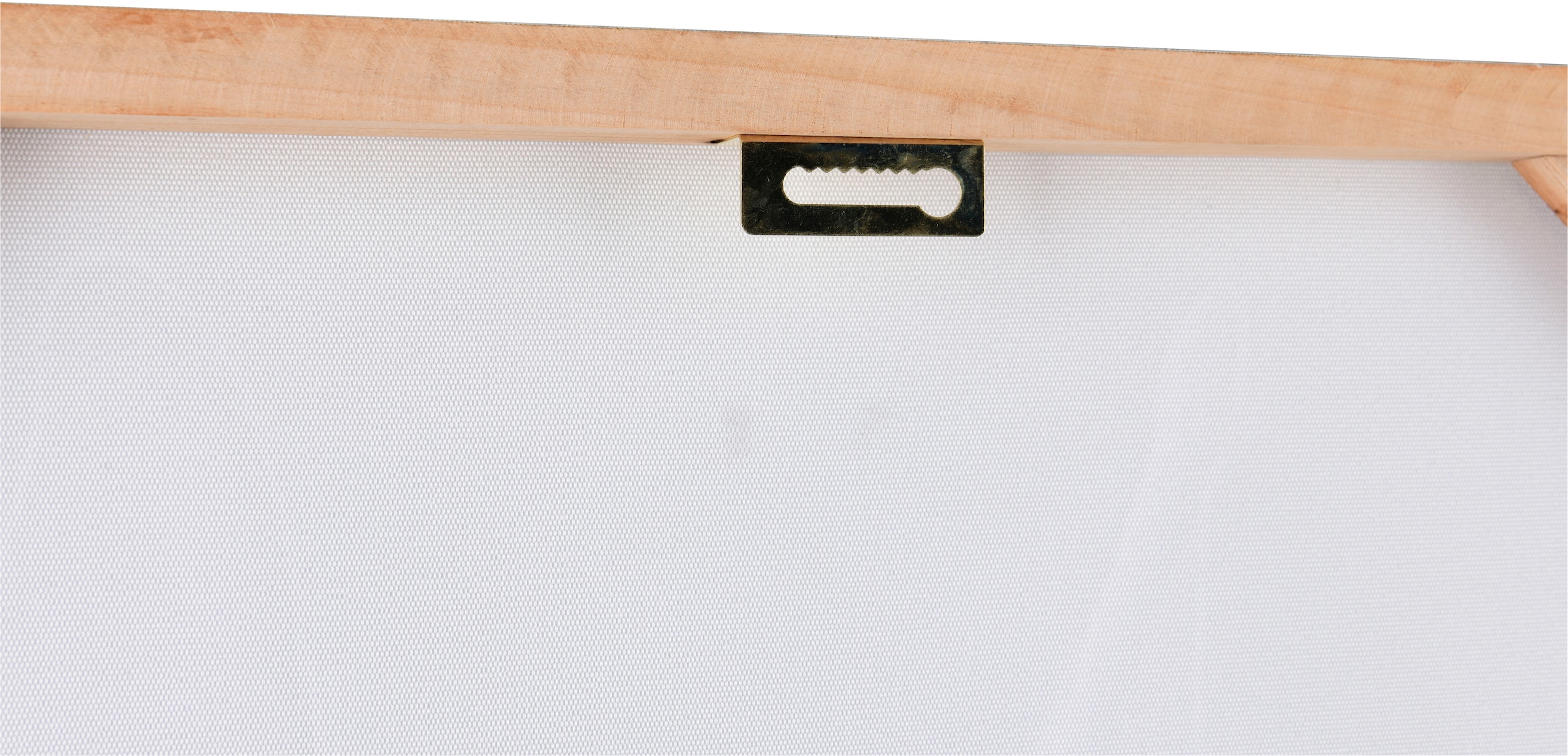 MIRRORS AND MORE Kunstdruck »LINUS« 1 Stk. tlg. Mix aus Tierporträt und Modekunst