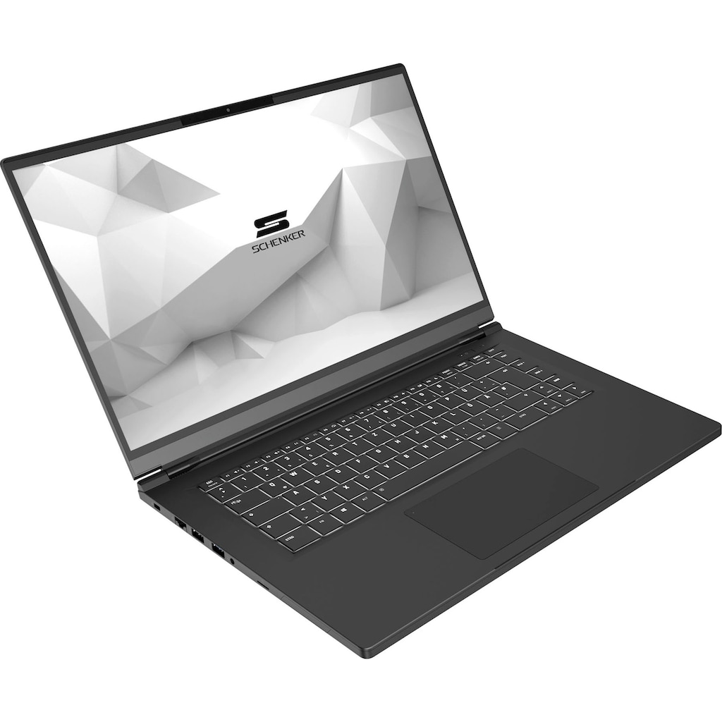 Schenker Notebook »VIA 15 Pro - M20ydb«, 39,62 cm, / 15,6 Zoll, AMD, Ryzen 7, Radeon RX Vega 7, 500 GB SSD