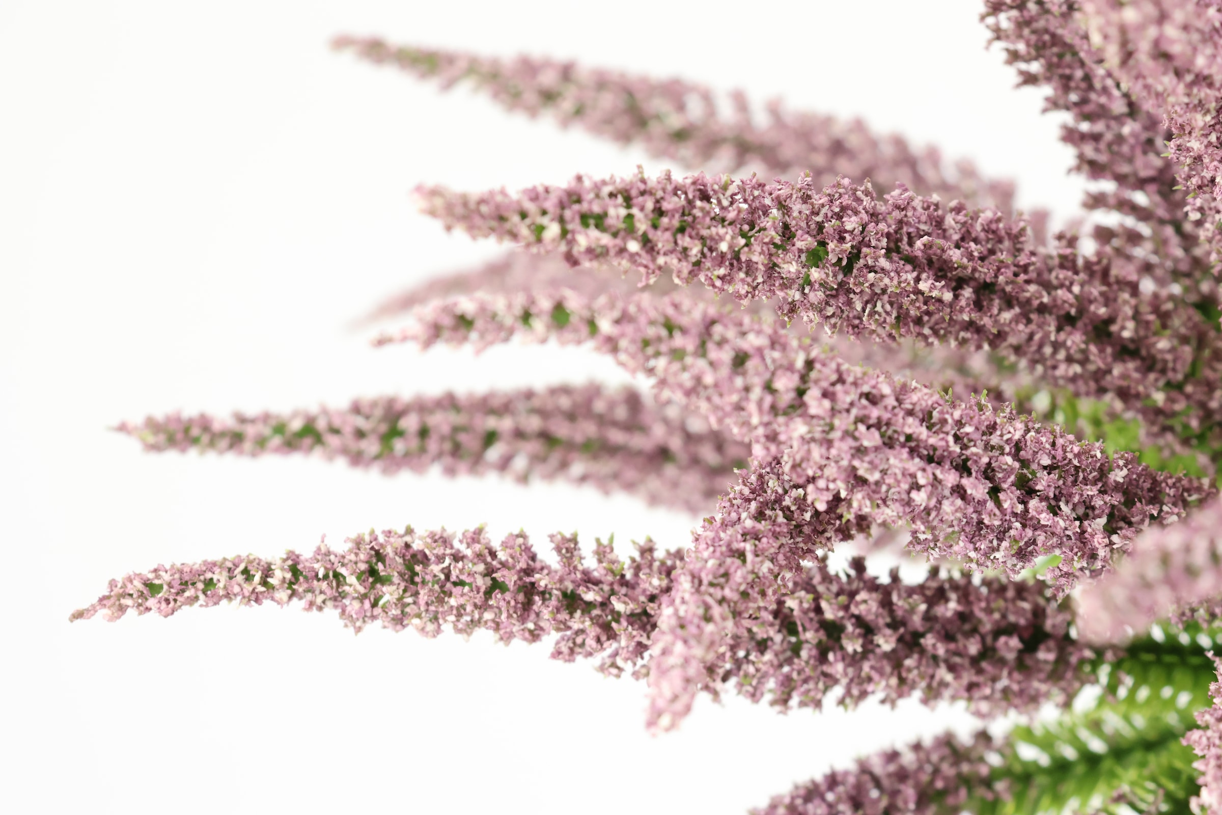 I.GE.A. Kunstpflanze »Erikabusch 2er Set«, 25cm Heidenkraut Strauch Dekopflanze Dekoblume Bouquet Pflanze
