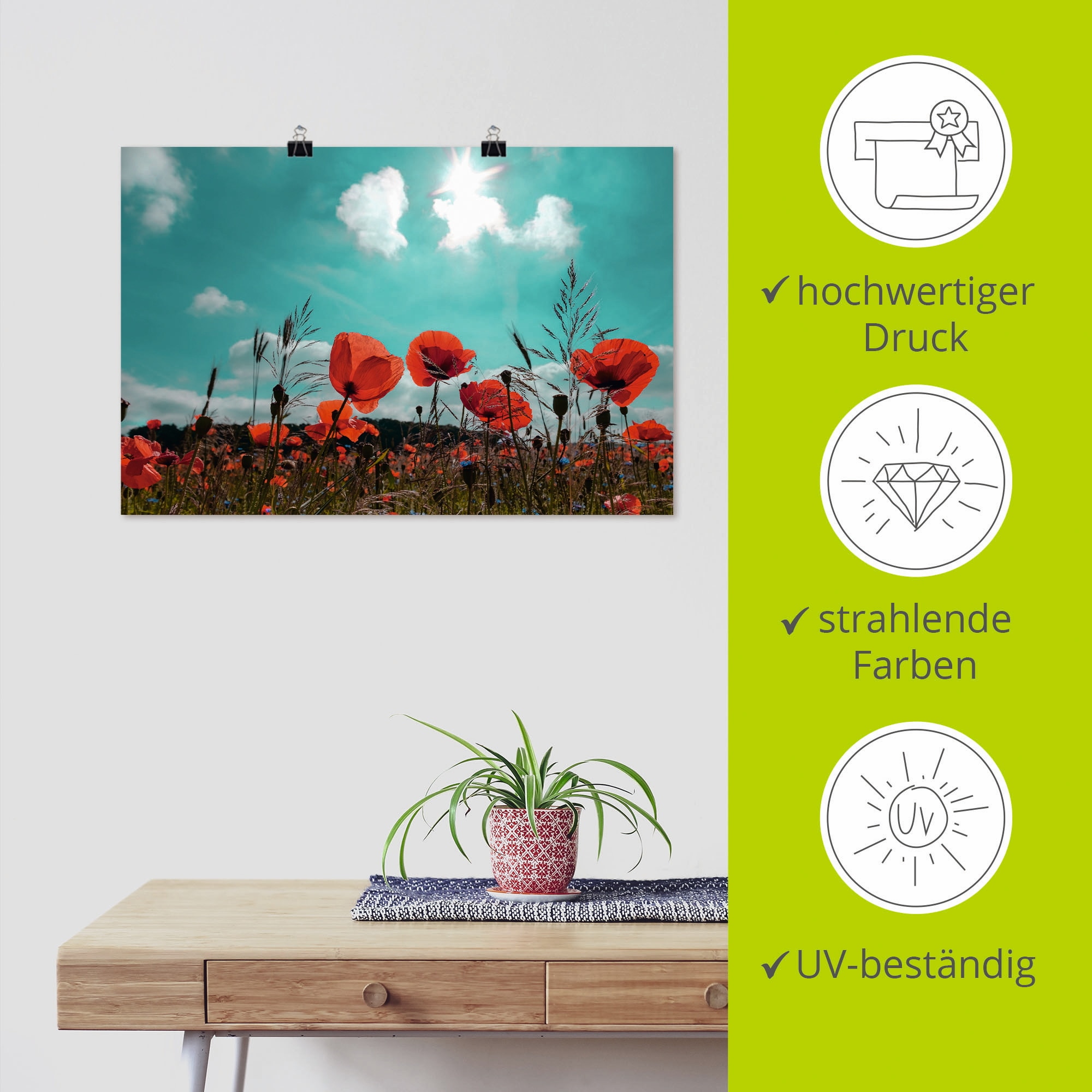 Artland Poster »Mohnblumenfeld im Frühling«, Blumen, (1 St.), als Alubild, Leinwandbild, Wandaufkleber oder Poster in versch. Größen