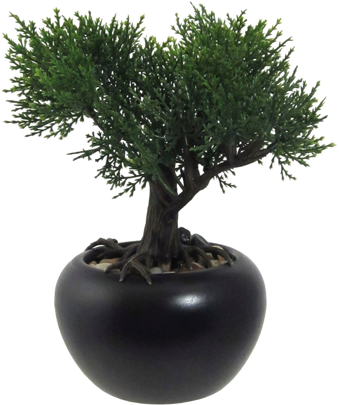 Creativ green Kunstbonsai »Bonsai Kiefer und Zeder«, mit Kies