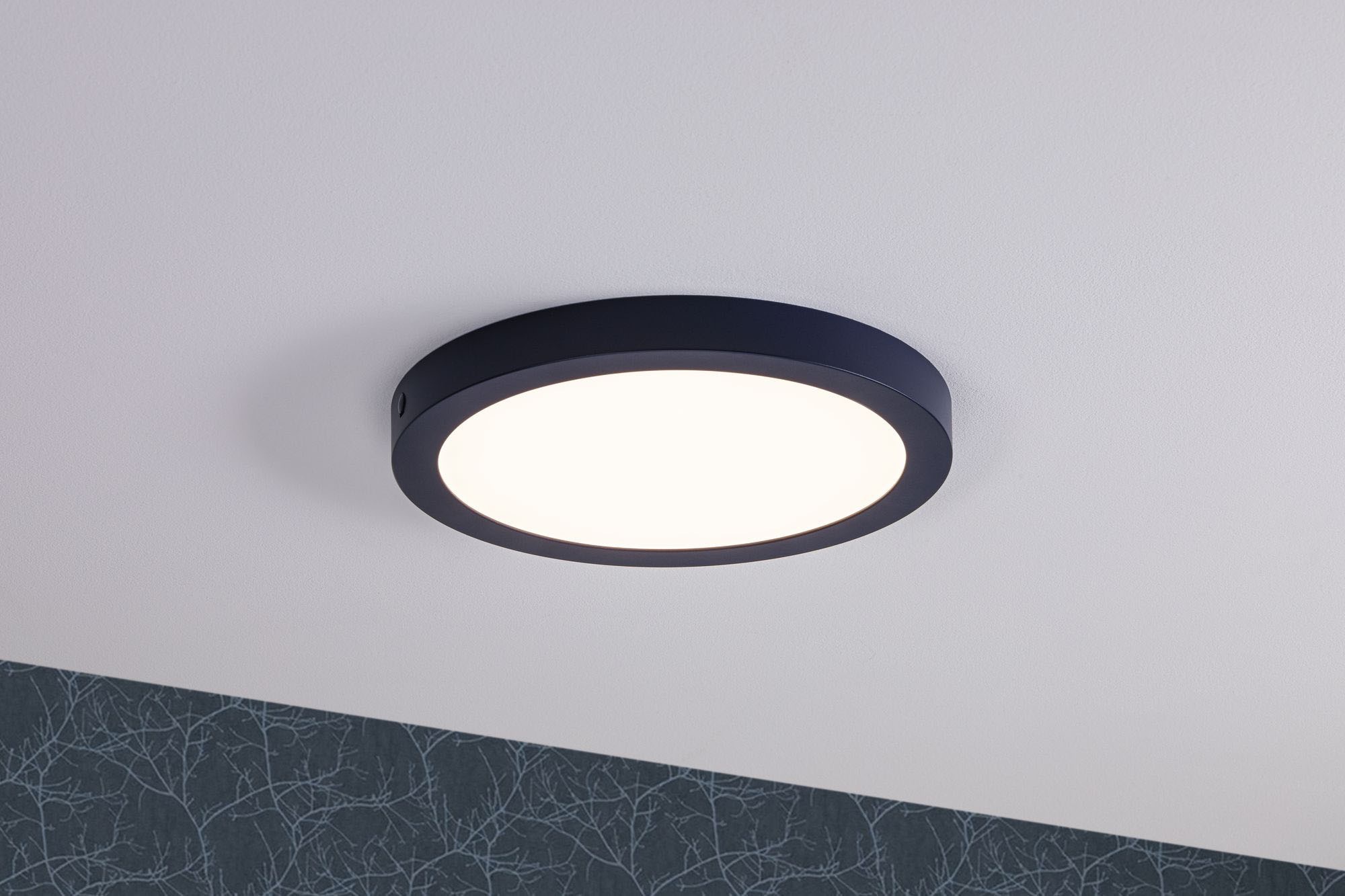 Paulmann LED Deckenleuchte »Abia«, 1 flammig, Leuchtmittel LED-Modul | LED fest integriert, LED-Modul, LED Deckenlampe