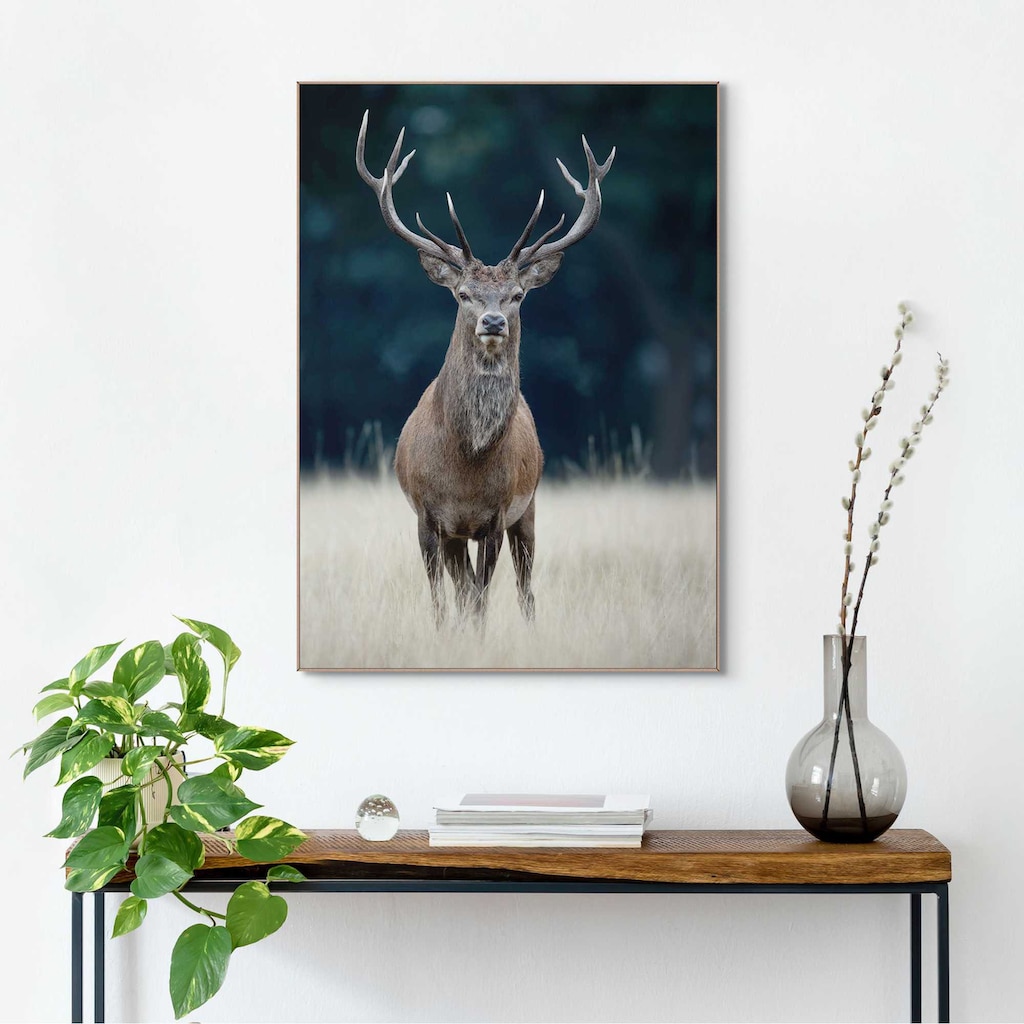 Reinders! Wandbild »Slim Frame Wood 50x70 Deer«