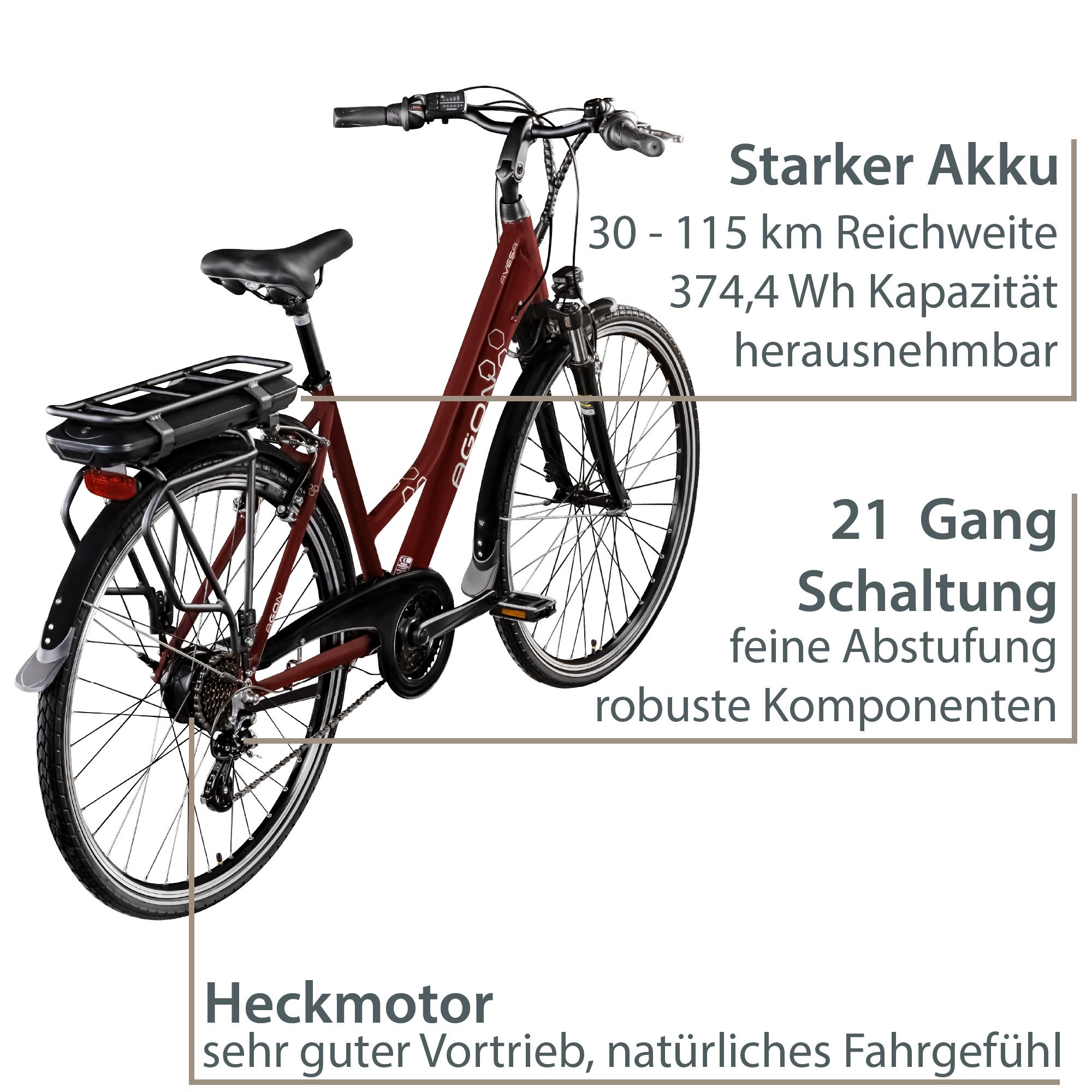 AGON "Avesa" 21 Gang Kettenschaltung Heckmotor 250 W Pedelec, Elektrofahrrad für Damen u. Herren