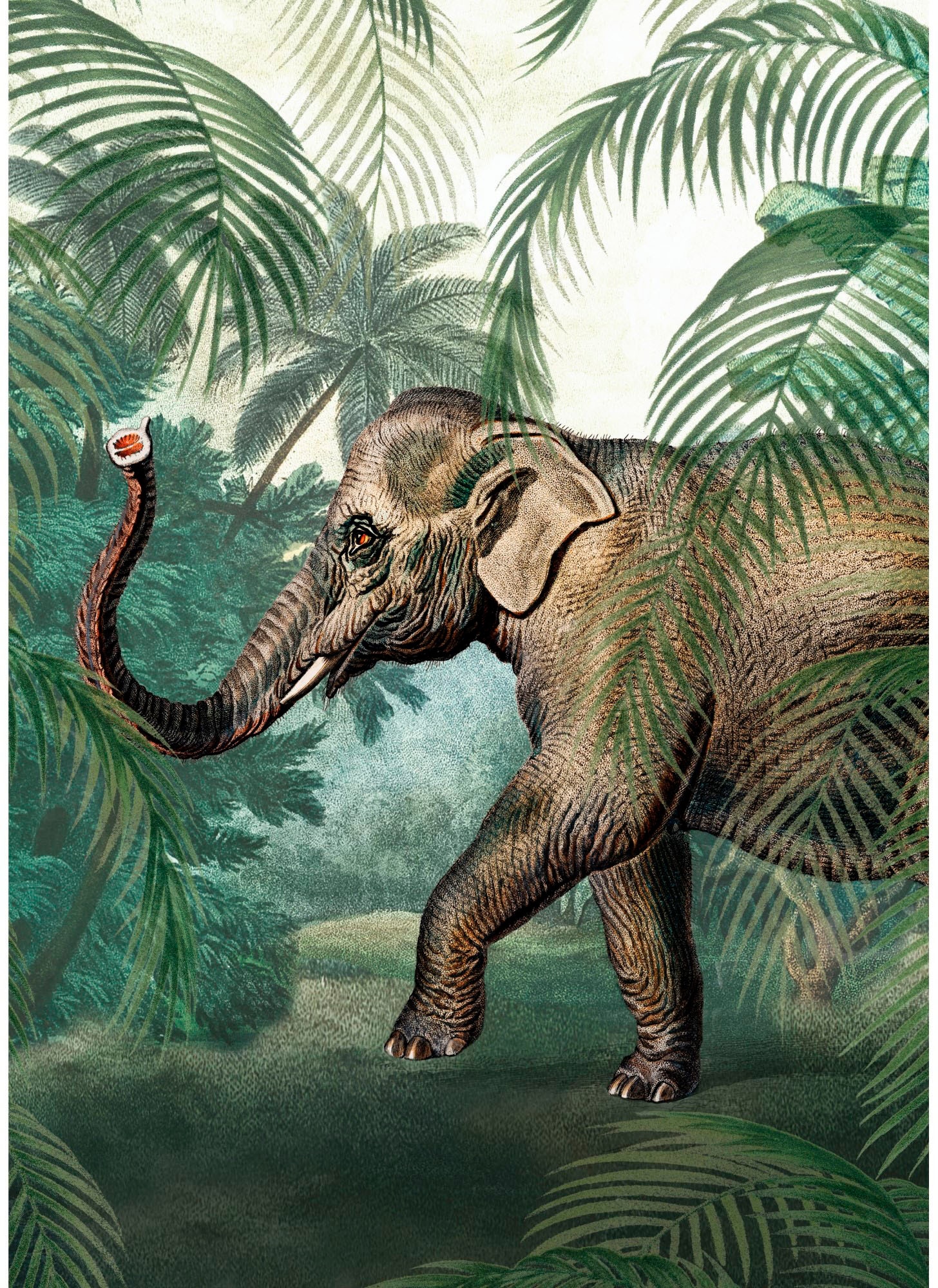 Art for the home Fototapete "Elefant" animal print glatt 280x200cm günstig online kaufen