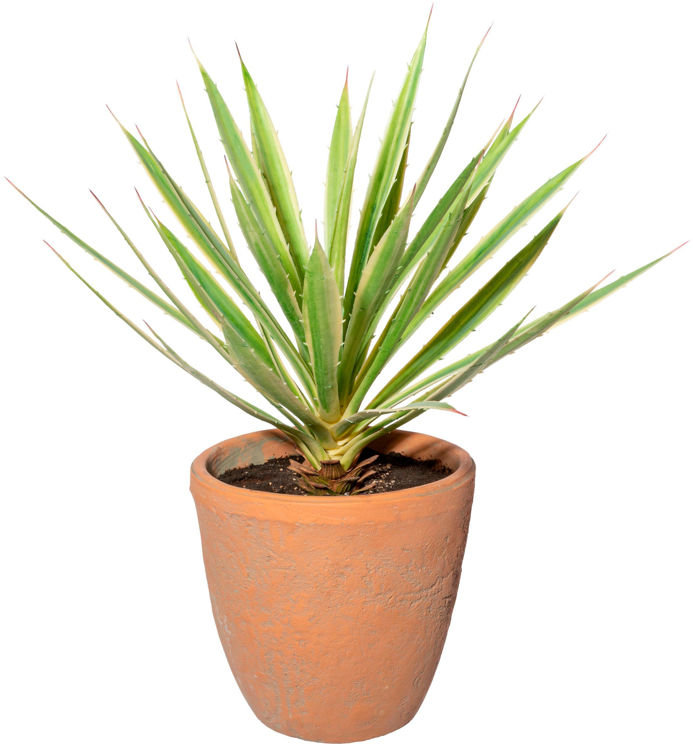 BAUR bestellen Künstliche | Creativ Terracottatopf« »Yucca green Zimmerpflanze im