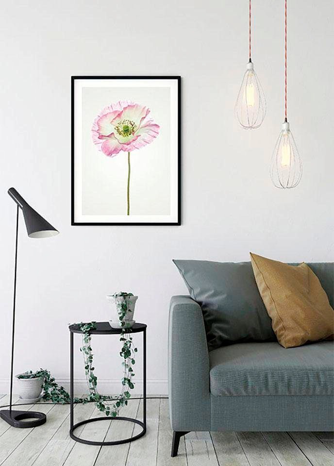 Komar Bild »Poppy«, Blumen, (1 St.), Wandbild zur Dekoration - ohne Rahmen